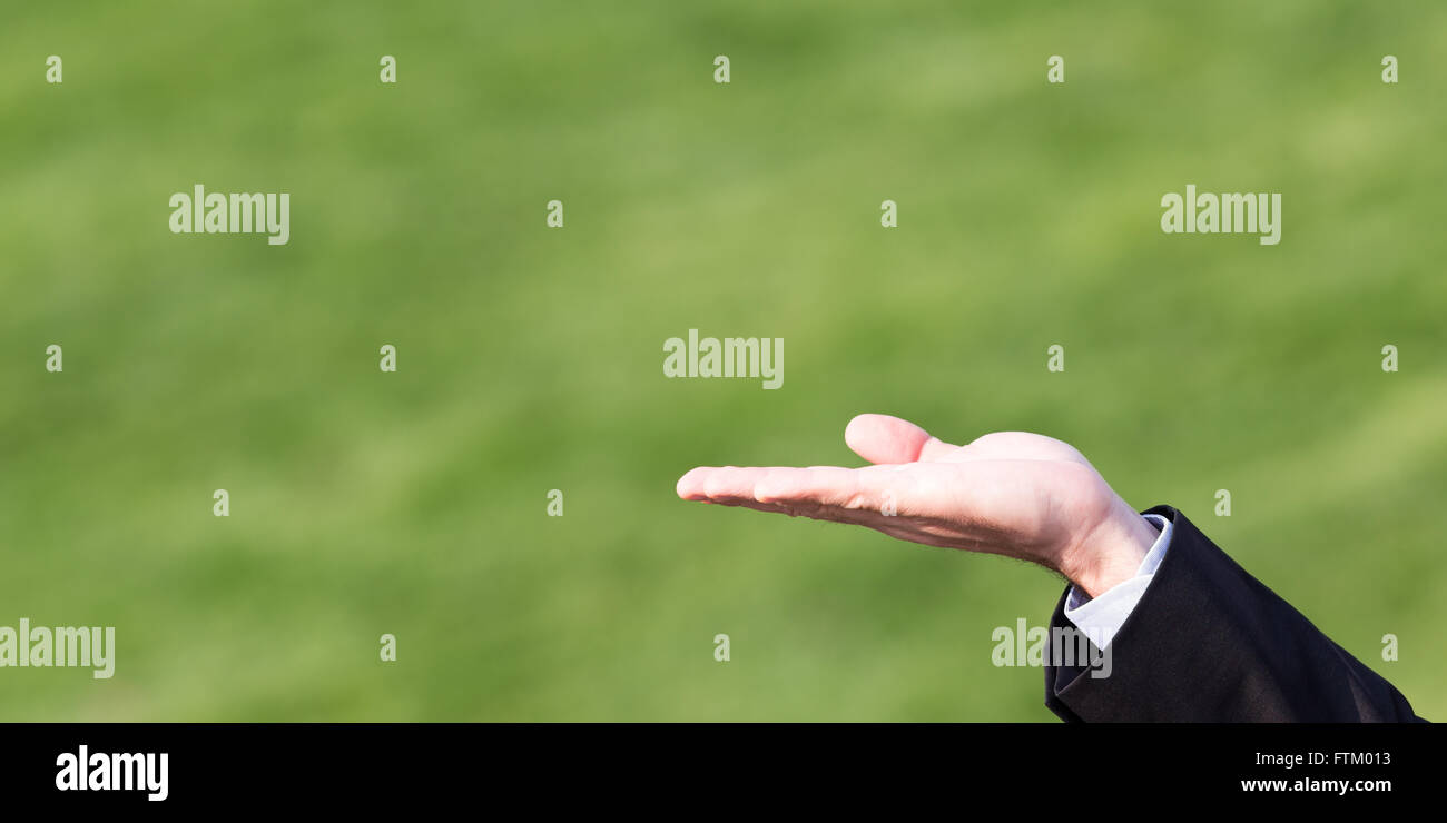 Hand auf einer grünen Wiese, Kopie Raum Foto Stockfoto