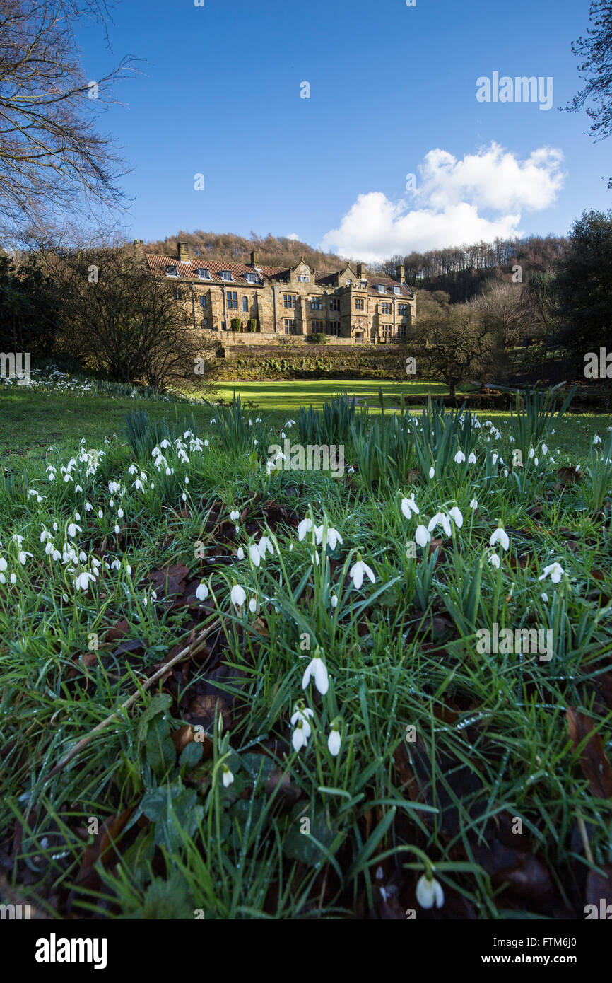 Schneeglöckchen-Zeit im Mount Grace Priory Straddle Brücke nahe Northallerton, North Yorkshire. Mount Grace Haus im Hintergrund Stockfoto