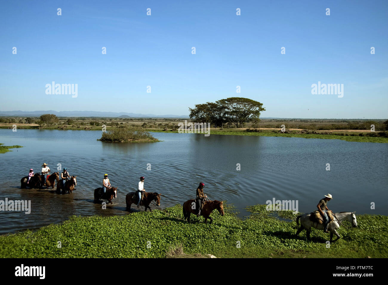 Touristen tun Pferd Reiten durch Corixo Farm im südlichen Pantanal Stockfoto