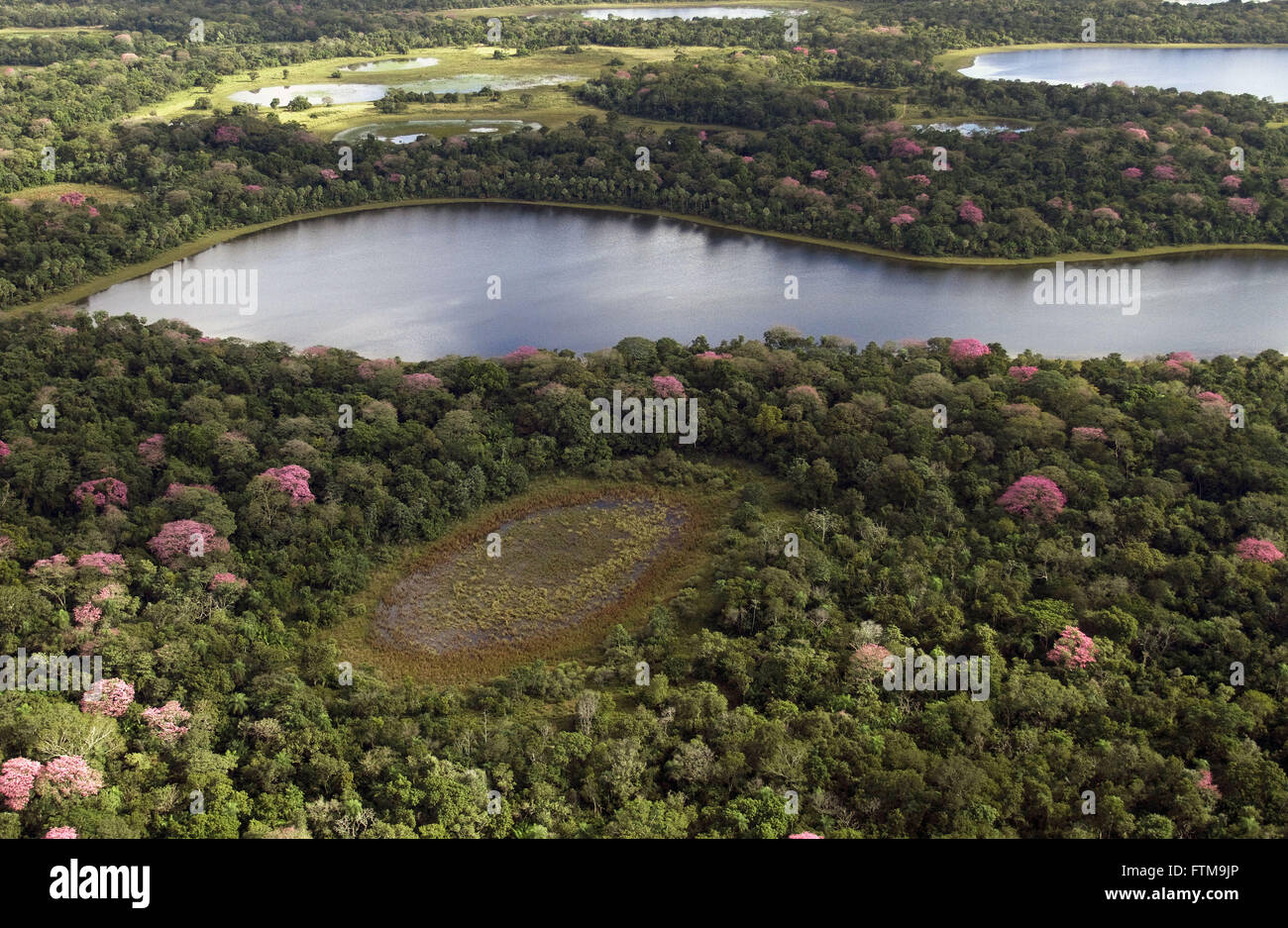 Luftaufnahme von Salz Teich Barranco Alto Farm im südlichen Pantanal Stockfoto