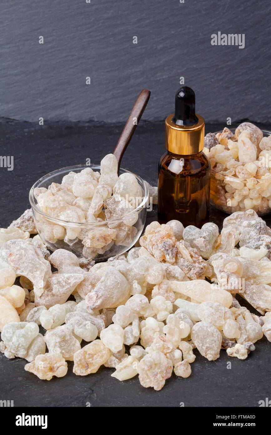 Flasche mit organischen wesentliche Aromaöl von Weihrauch (Boswellia Sacra) Baum Baumharz und Weihrauch herumliegen. Stockfoto