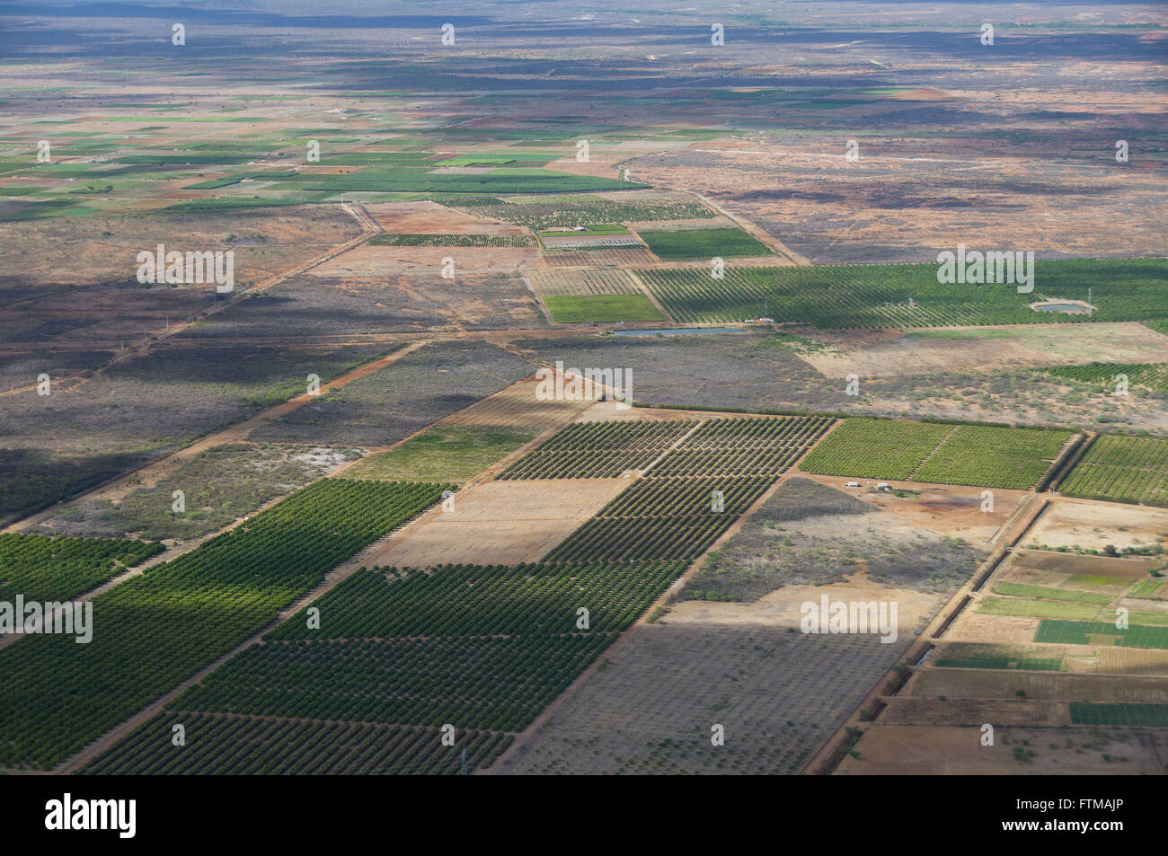 Luftaufnahme des bewässerten Plantagen - Savanne-region Stockfoto