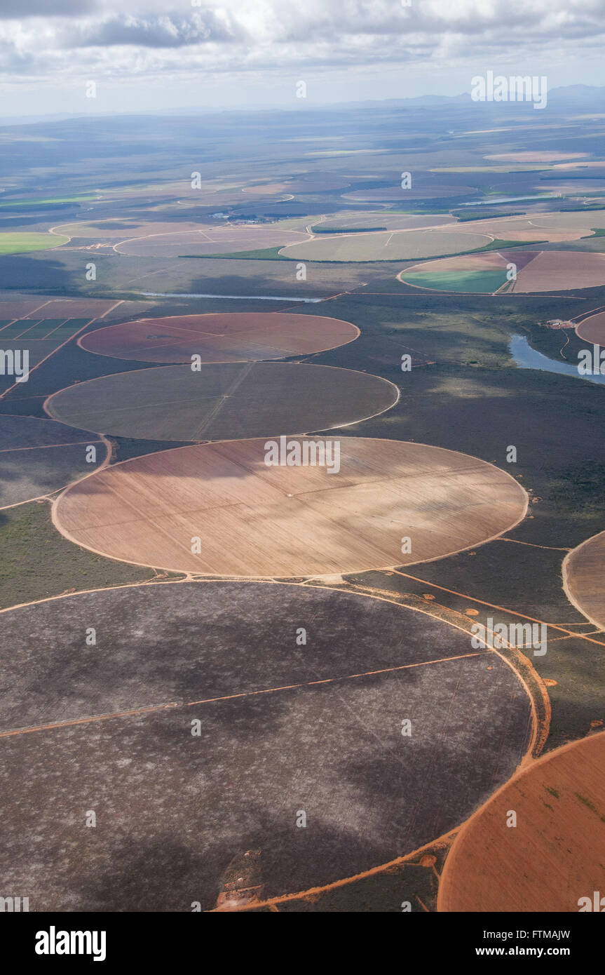 Luftaufnahme des bewässerten Plantagen mit Pivo - Savanne-region Stockfoto