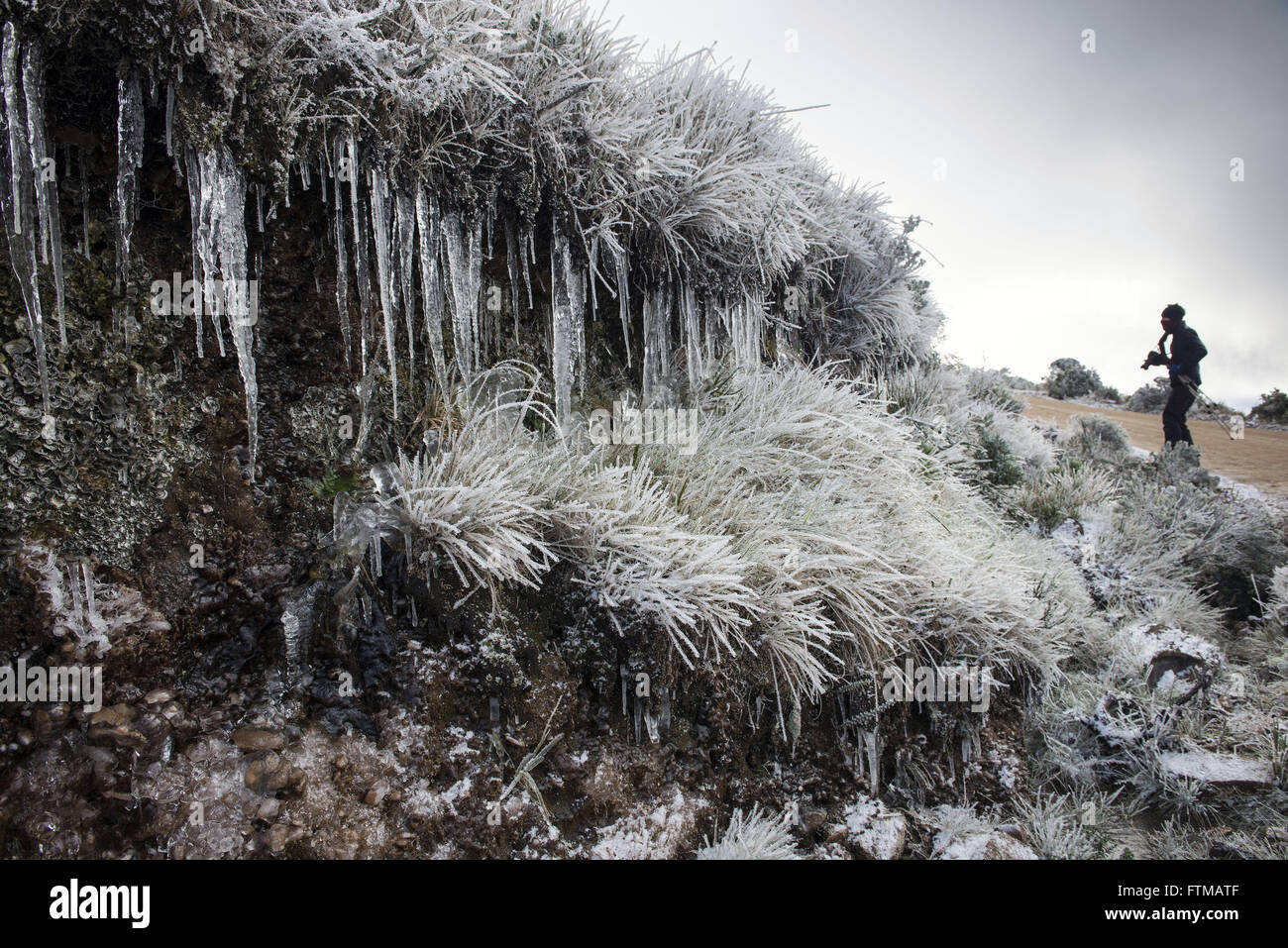 Eiszapfen und gefrorenen Werk in Morro Das Torres in Santa Catarina Bergen Stockfoto