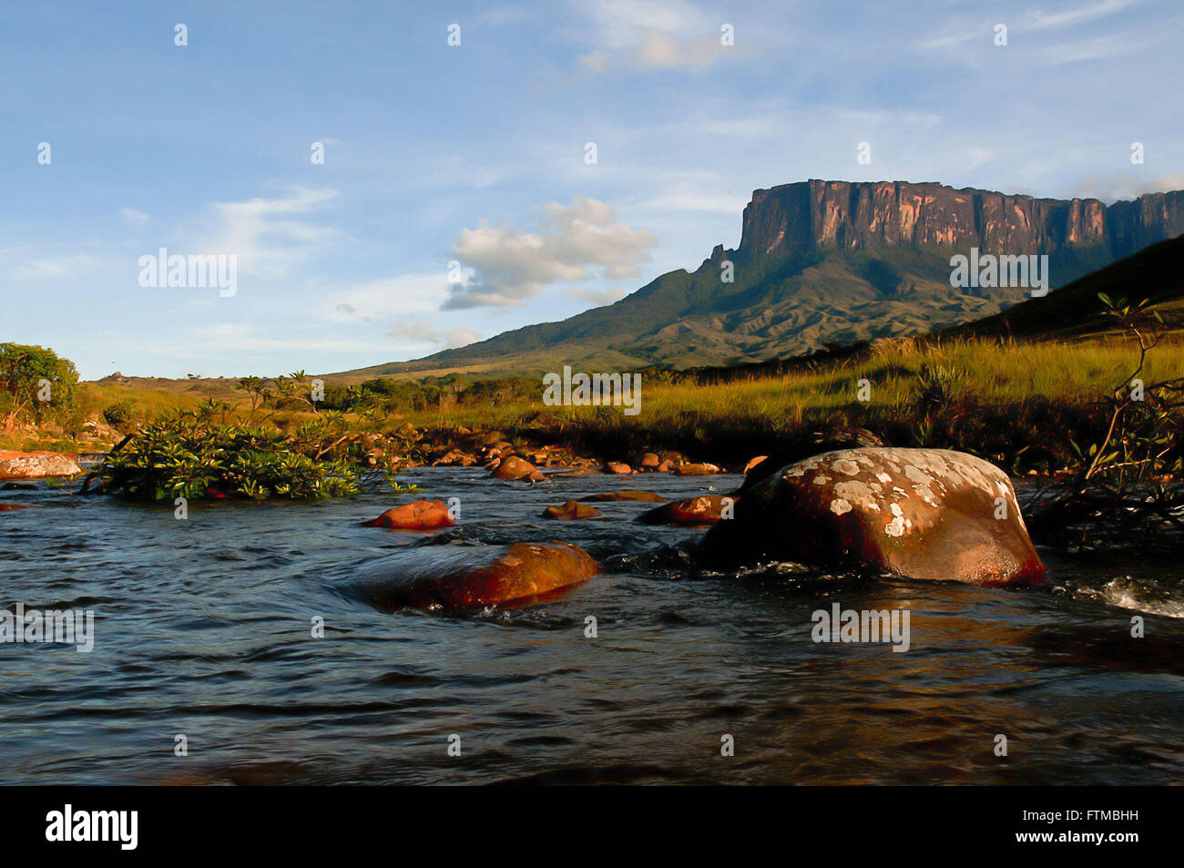 Nationalpark Mount Roraima-Grenze - Brasilien - Venezuela - Guyana Stockfoto