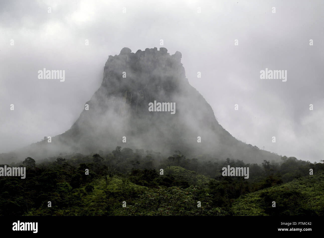 Verfolgen Sie Landschaft Pati Tal im Nationalpark Chapada Diamantina Stockfoto