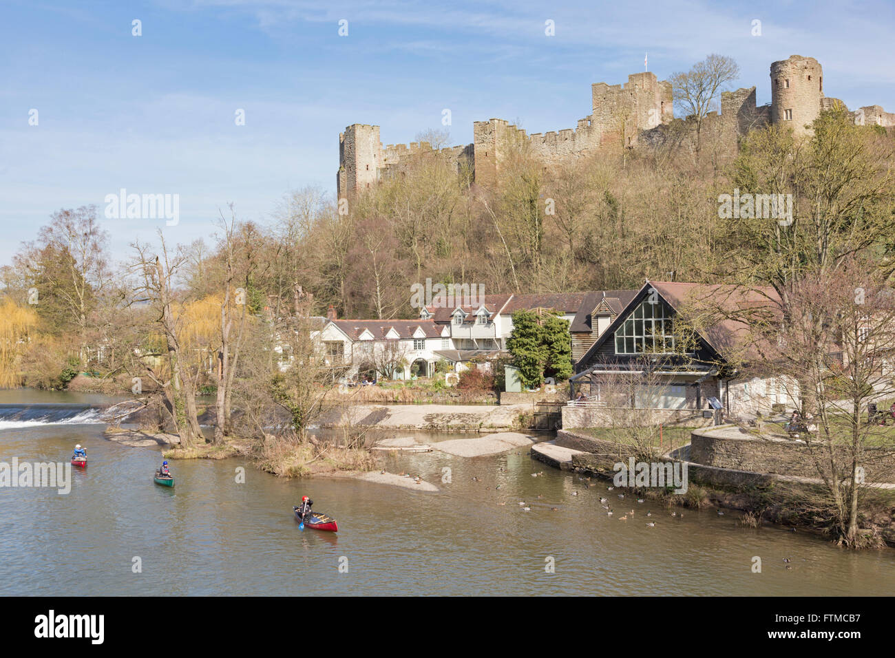 Kanuten auf der River Teme unterhalb Ludlow Castle, Ludlow, Shropshire, England, Vereinigtes Königreich Stockfoto