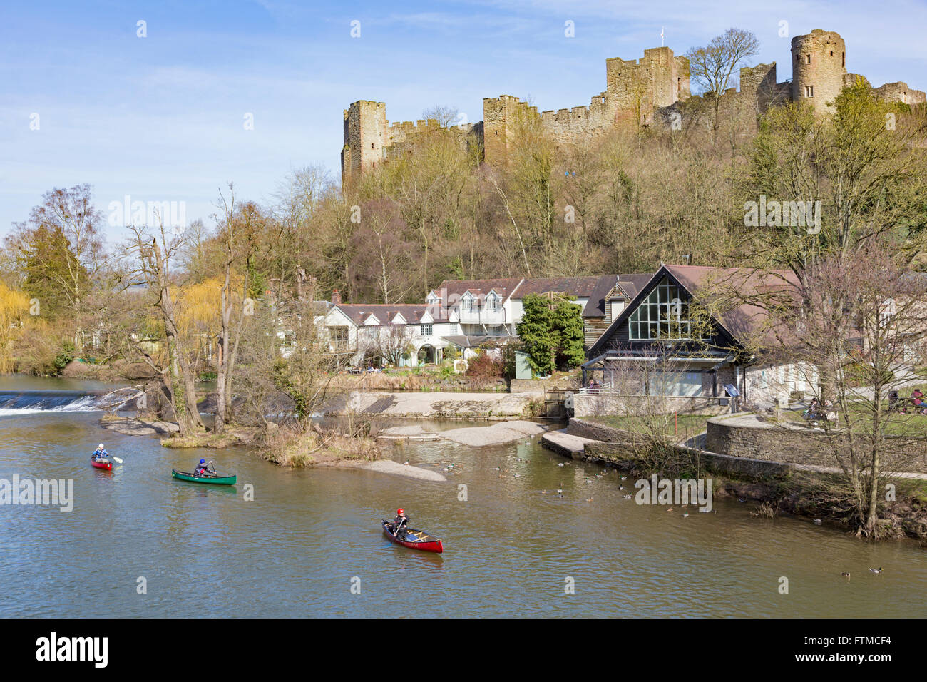 Kanuten auf der River Teme unterhalb Ludlow Castle, Ludlow, Shropshire, England, Vereinigtes Königreich Stockfoto