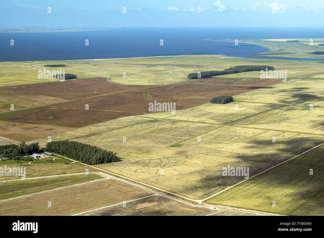 Vista Aerea de Plantacao de Arroz e Lagoa Mirim Stockfoto