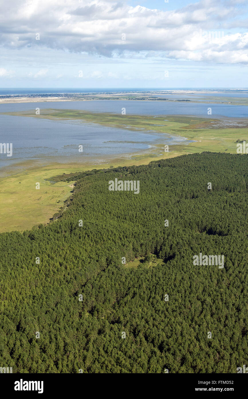 Vista Aerea de Plantacao de Pinus Ao Redor da Lagoa da Rondinha Stockfoto