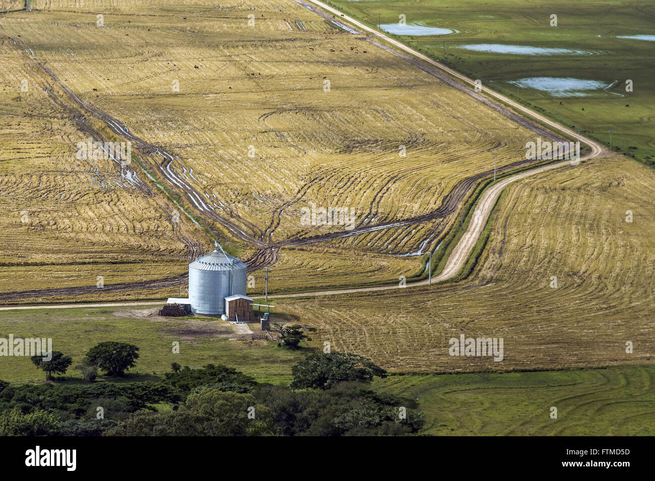 Vista Aerea de Silo e Plantacao de arroz Stockfoto