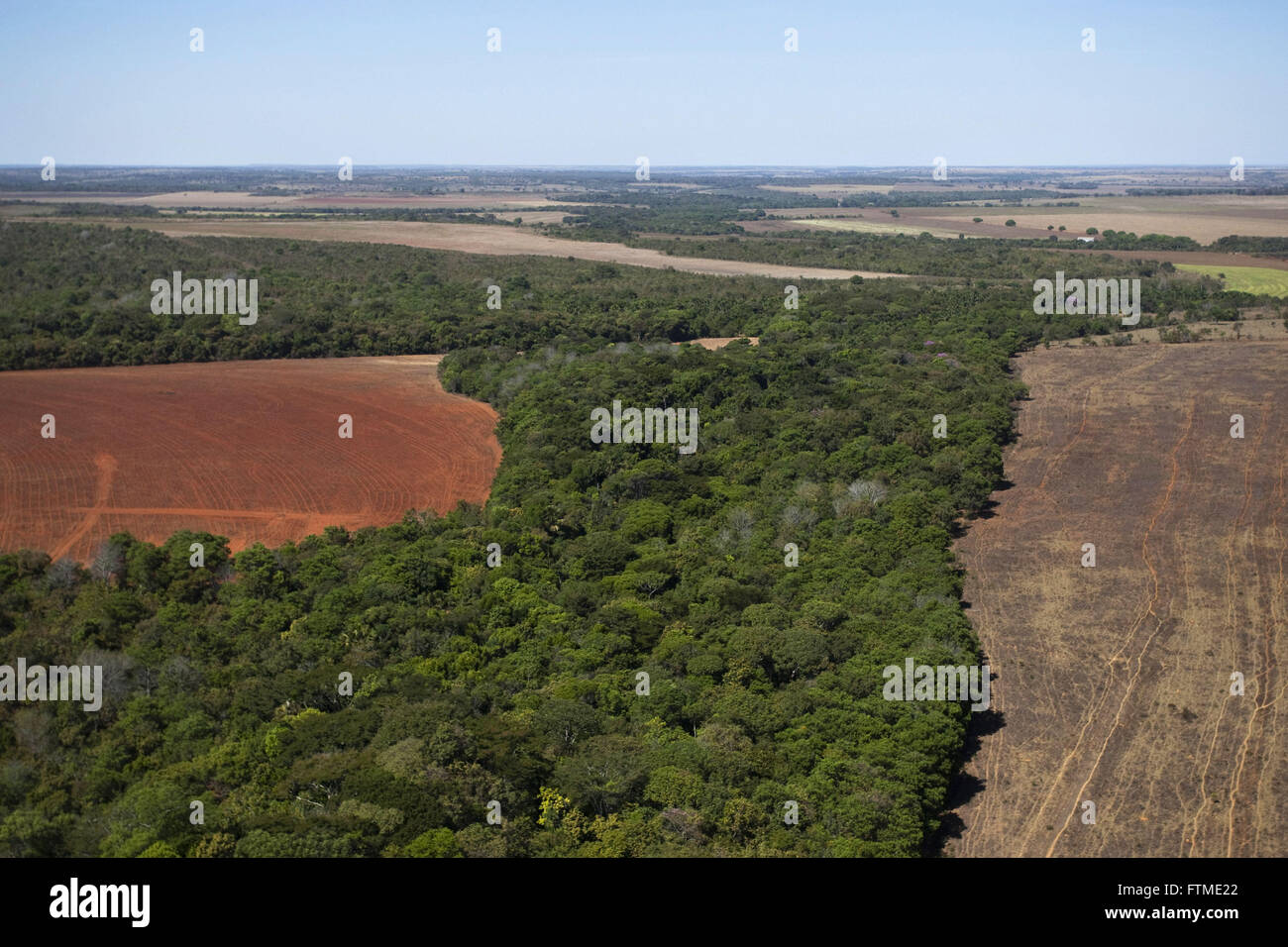 Luftaufnahme der gerodete Fläche des Cerrado für die Landwirtschaft in ländlichen Canarana Stockfoto