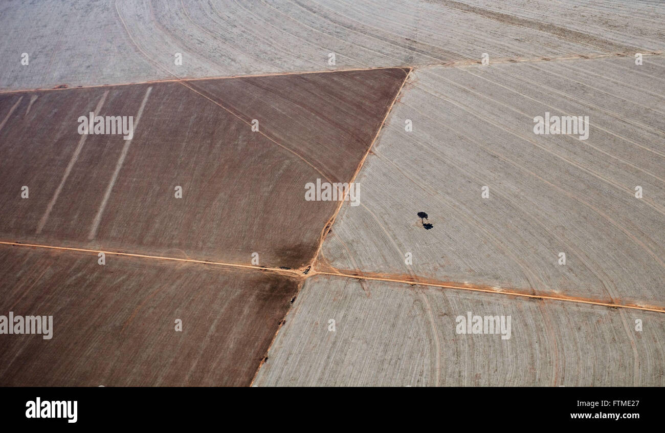 Luftaufnahme der gerodete Fläche des Cerrado für die Landwirtschaft in ländlichen Canarana Stockfoto