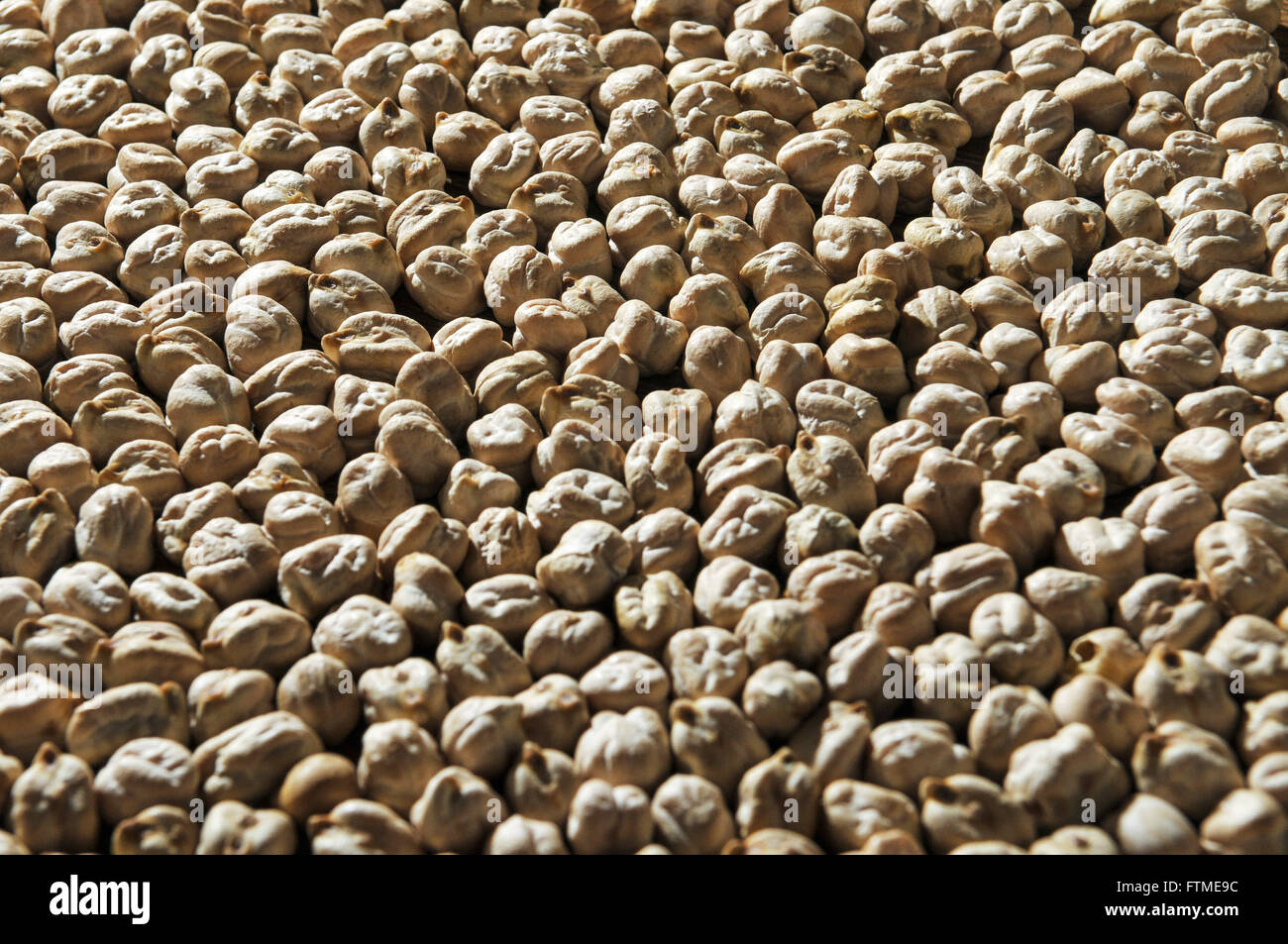 Detail der Korn Kichererbsen Stockfoto