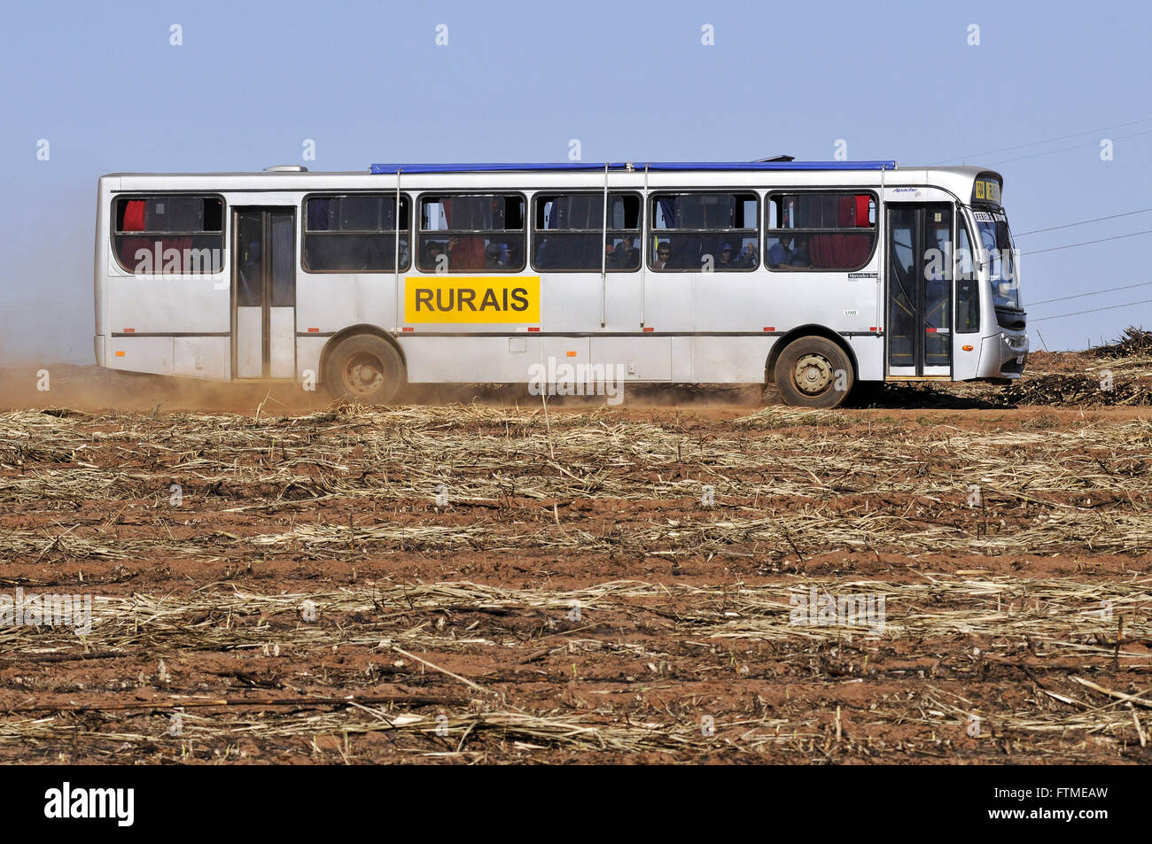 Bus mit Landarbeitern in Zuckerrohrfelder nach der Ernte Stockfoto