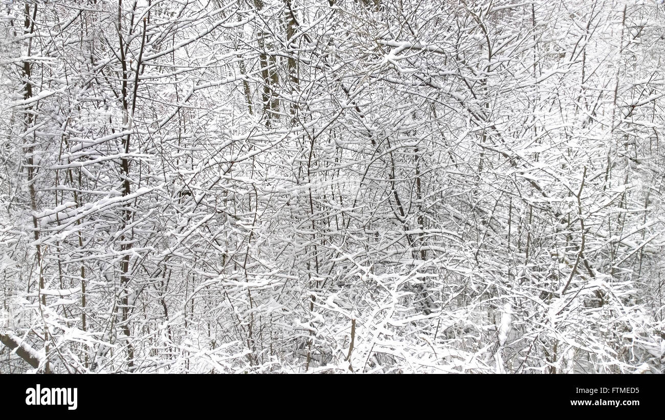 HD horizontale nahtlose Textur, herrliche Winterlandschaft des komplizierten Holz Äste mit Schnee bedeckt Stockfoto