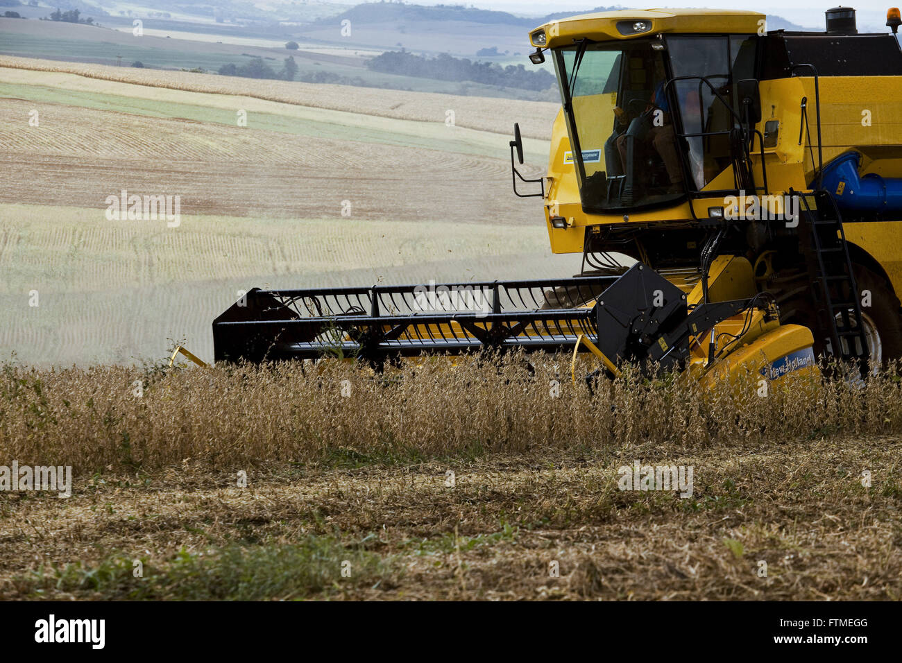 Mechanisierte Holzernte Soja Feld in ländlichen Stockfoto