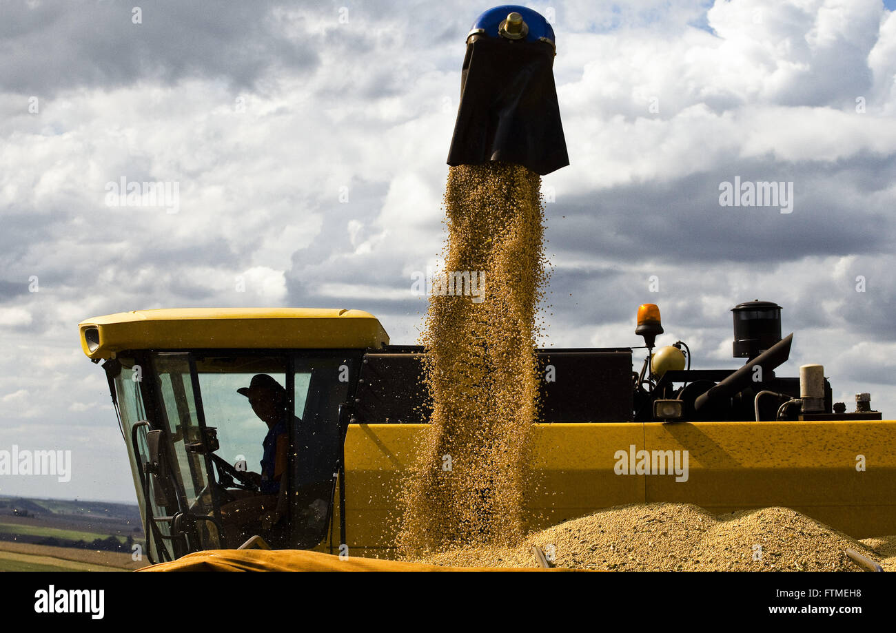 Kombinieren Sie gießen Soja-Korn-LKW auf dem Lande Stockfoto