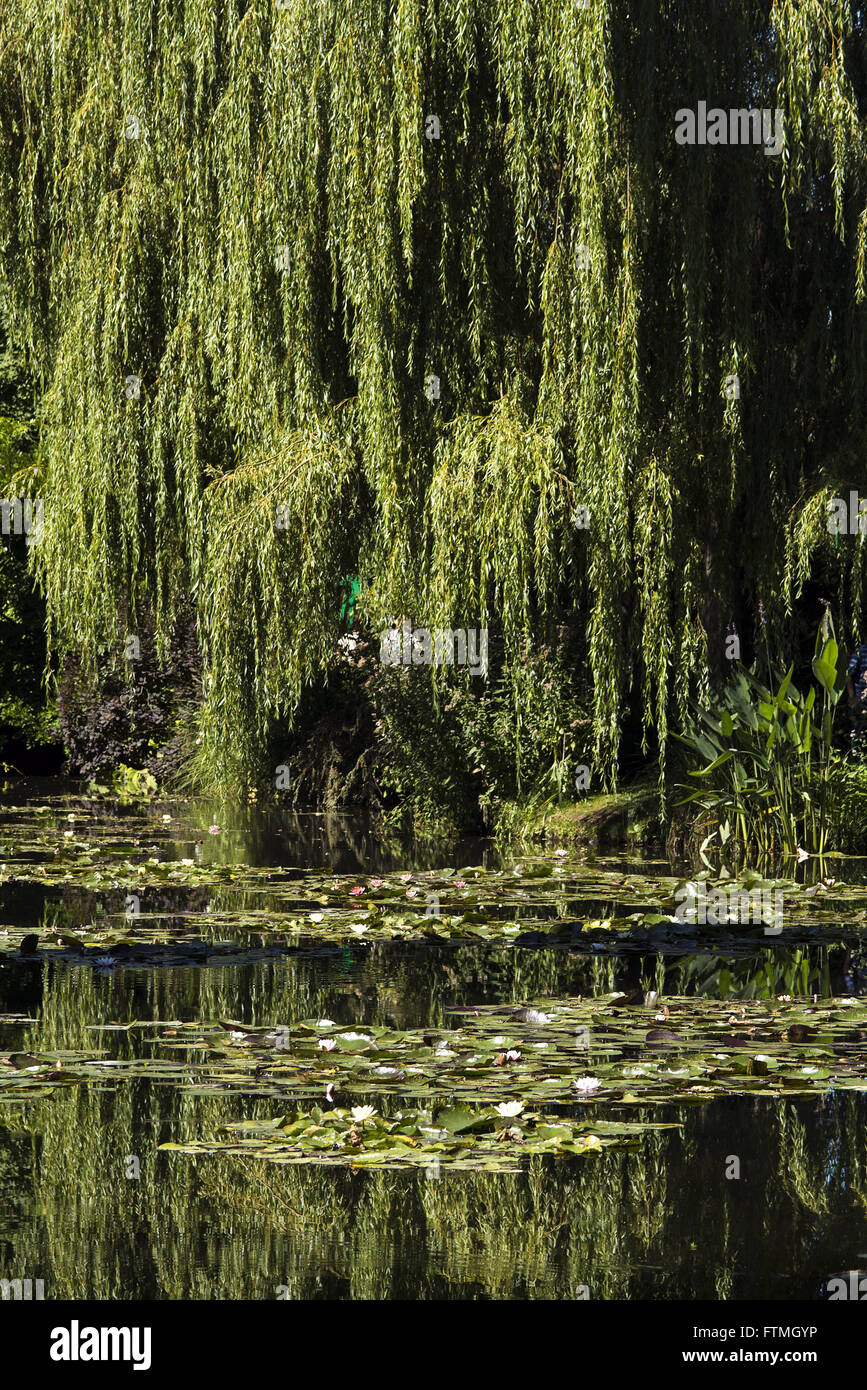 Claude Monet-Seerosen des Gartens im Dorf Giverny - Haute-Normandie Stockfoto