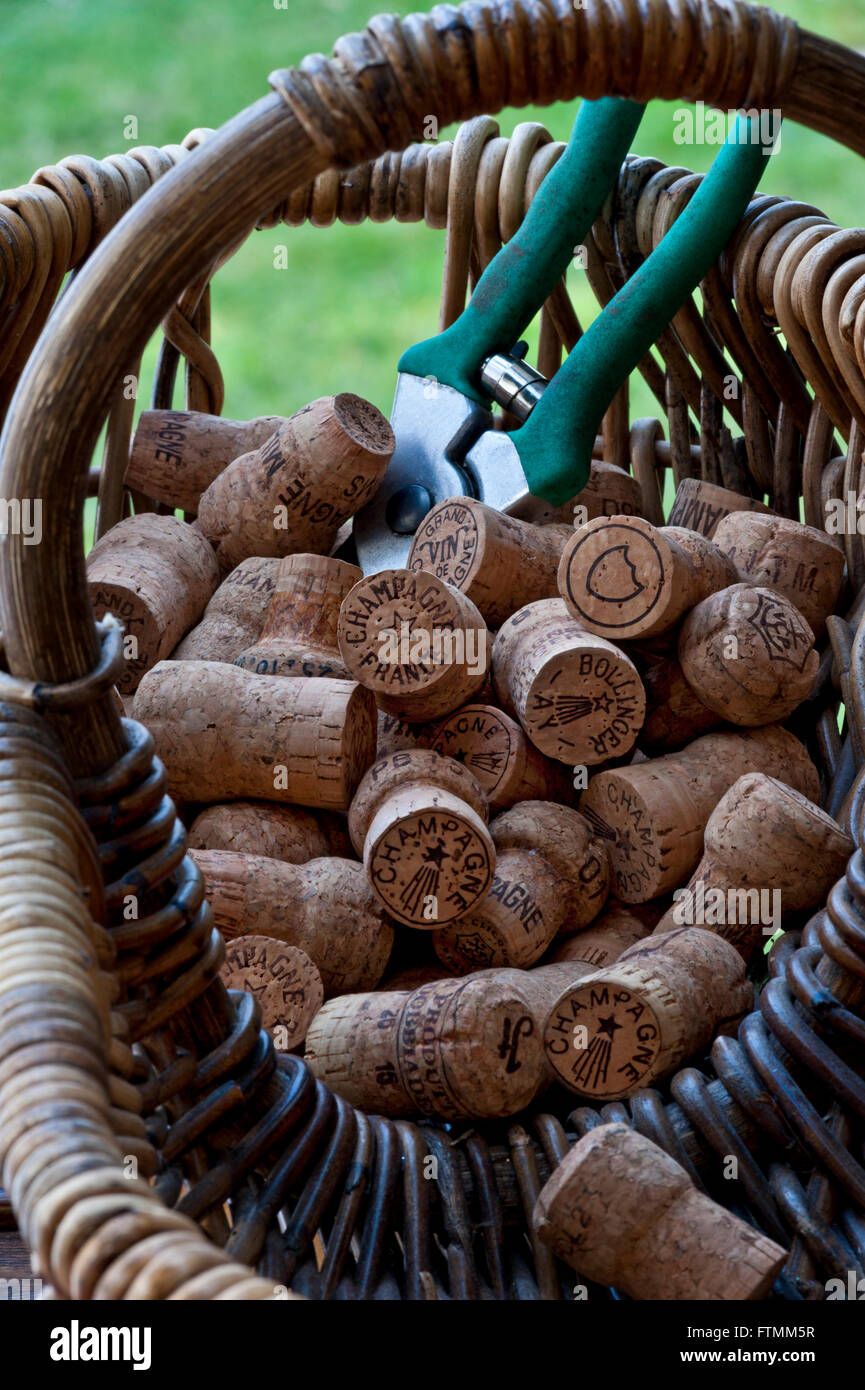 CHAMPAGNE ERNTE Konzept Bild der französischen Traubenpflücker Erntekorb & Gartenscheren mit einer Auswahl an verschiedenen Luxus-Champagner-Korken Frankreich Stockfoto