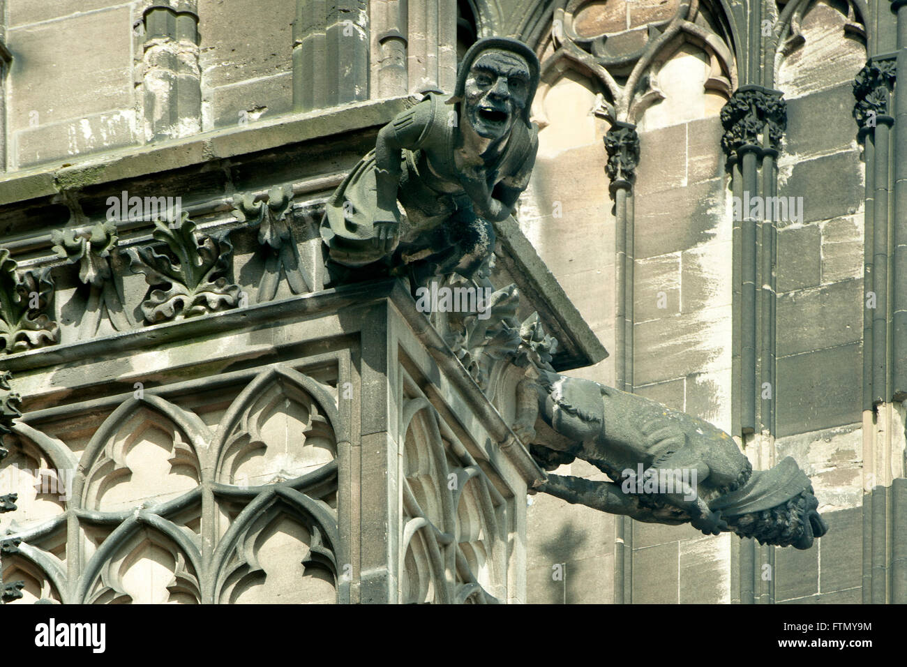 Köln, Altstadt-Nord, Wasserspeier eine der Westseite des Kölner Domes Stockfoto
