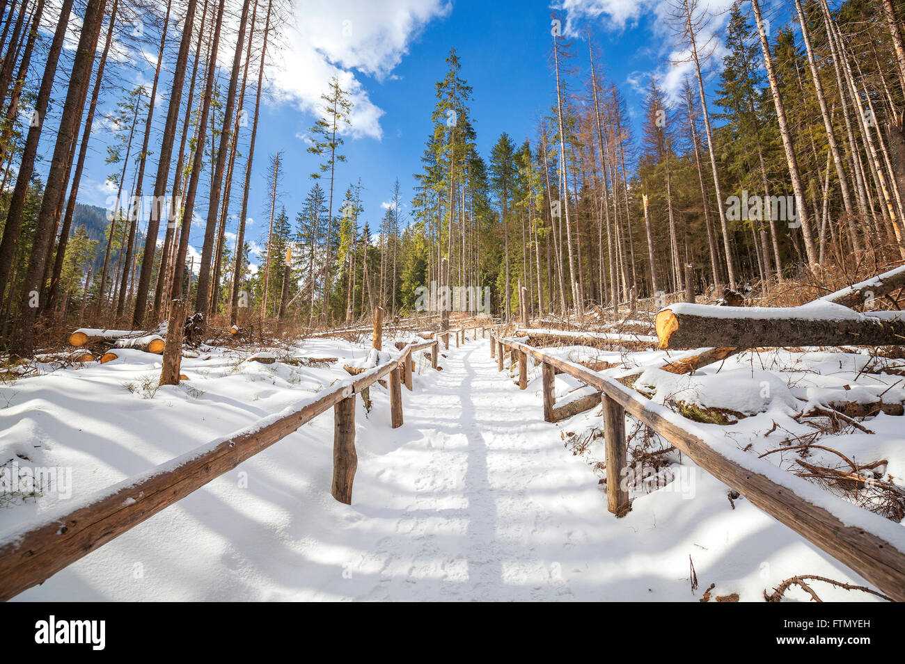 Handlauf aus Holz auf dem Weg wandern im Wald, Tatra-Gebirge im Winter, Polen Stockfoto