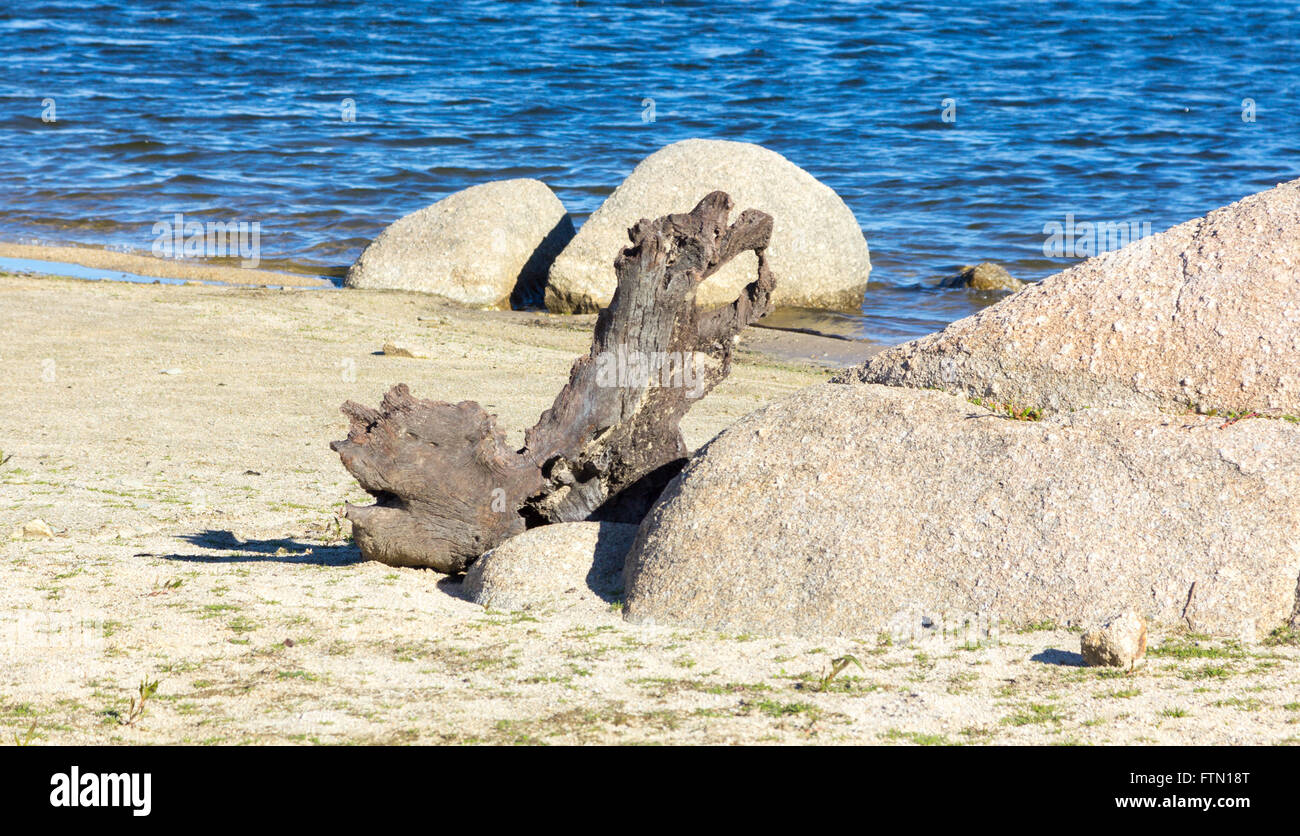 trockenen Baumstamm am Ufer eines Sees Stockfoto