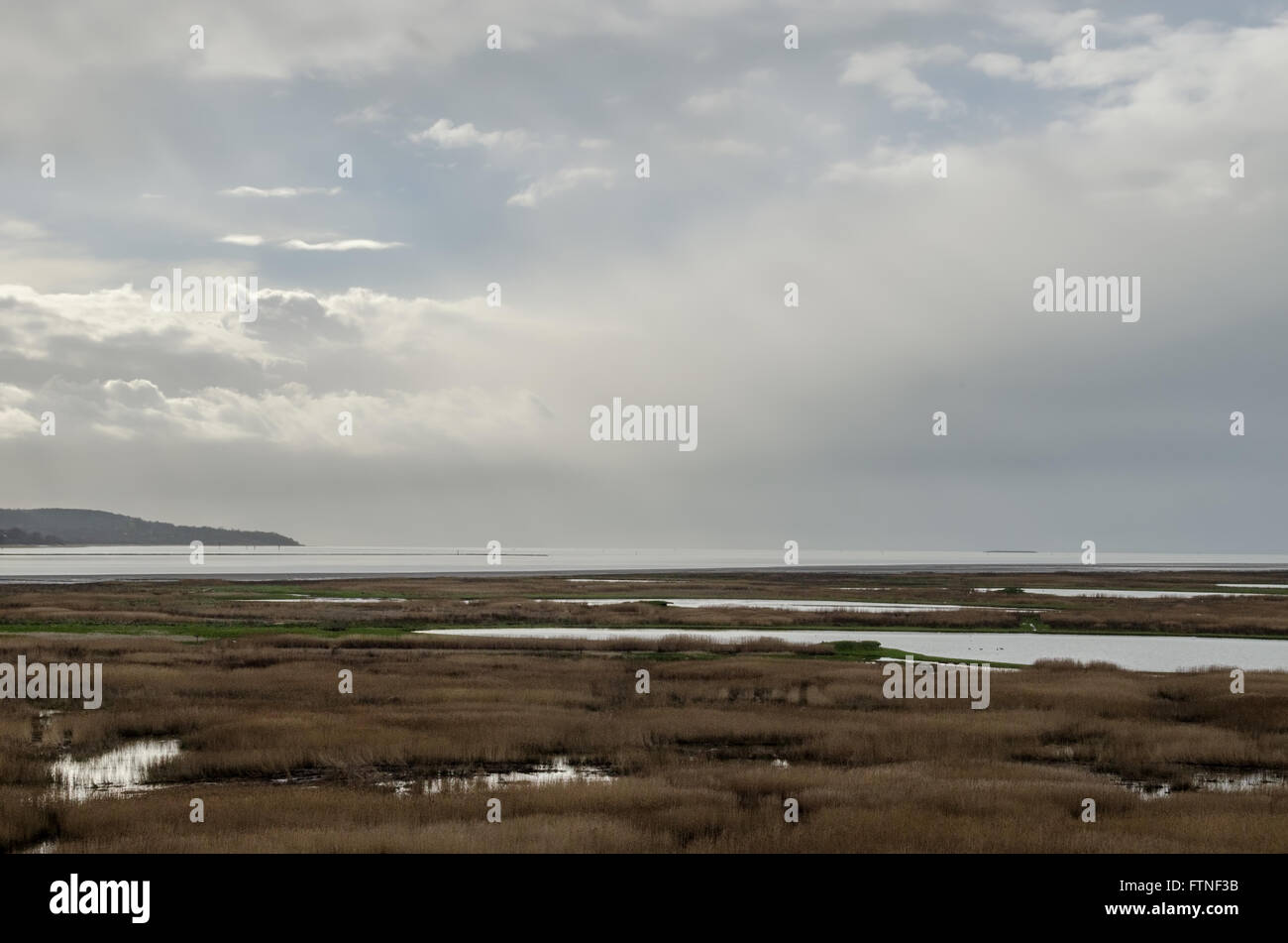 Ein inspirierendes Feld im Norden von Frankreich Stockfoto