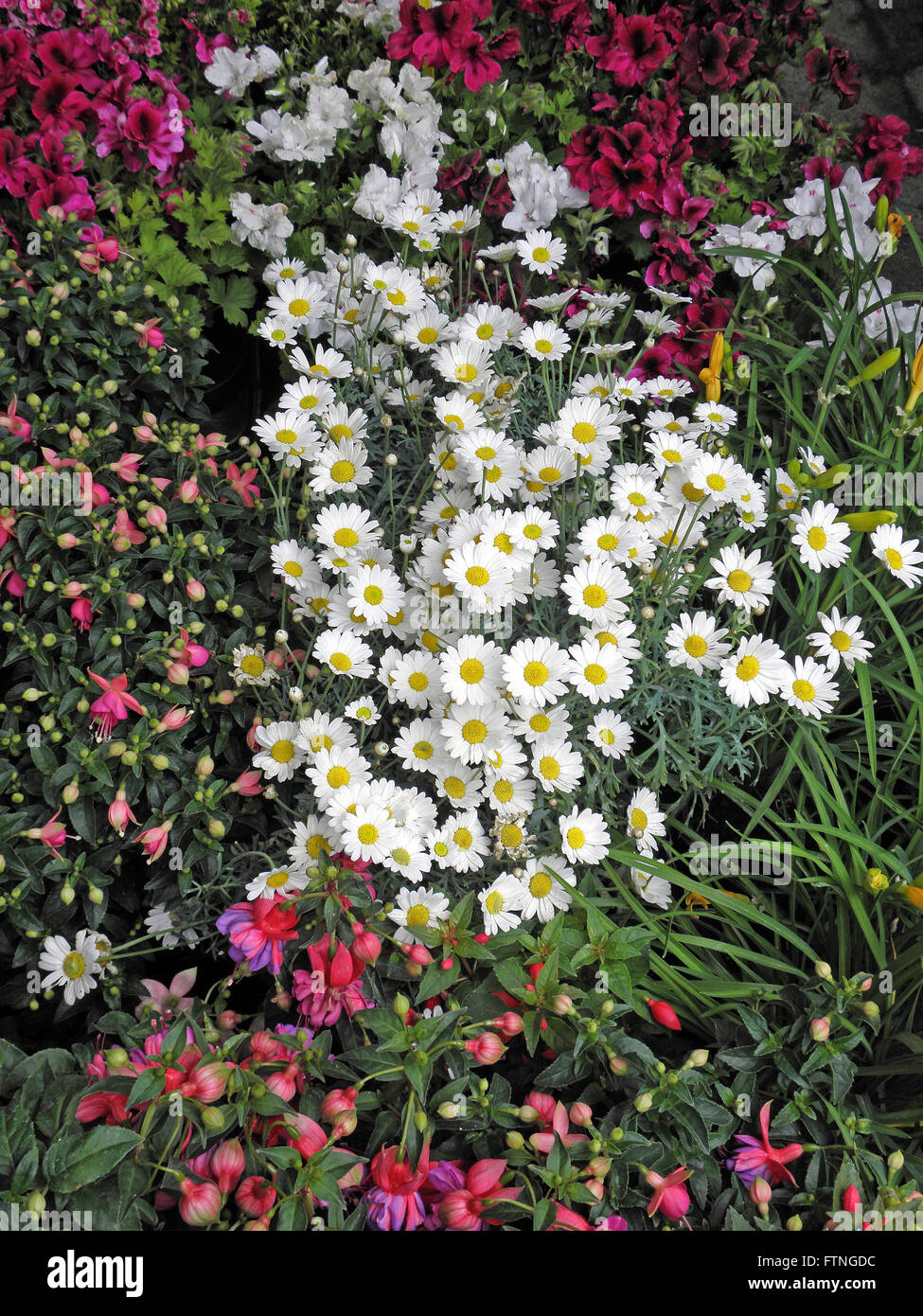 Flower Arrangement, Zagreb, Kroatien, Europa, Gartenarbeit, 1 Stockfoto