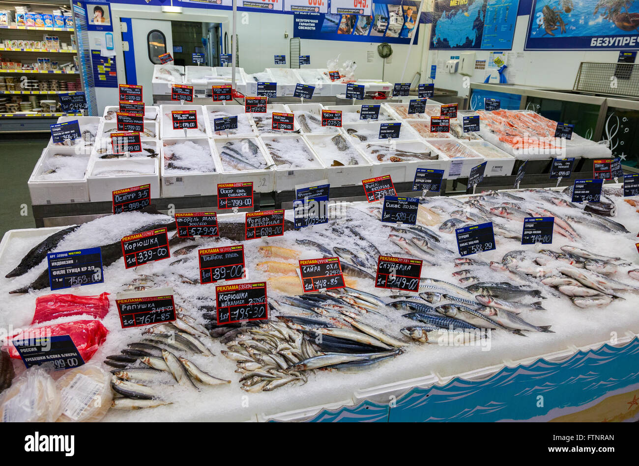 Roh und gefrorenen Fischen verkaufsfertig im Eis am Großmarkt METRO Stockfoto