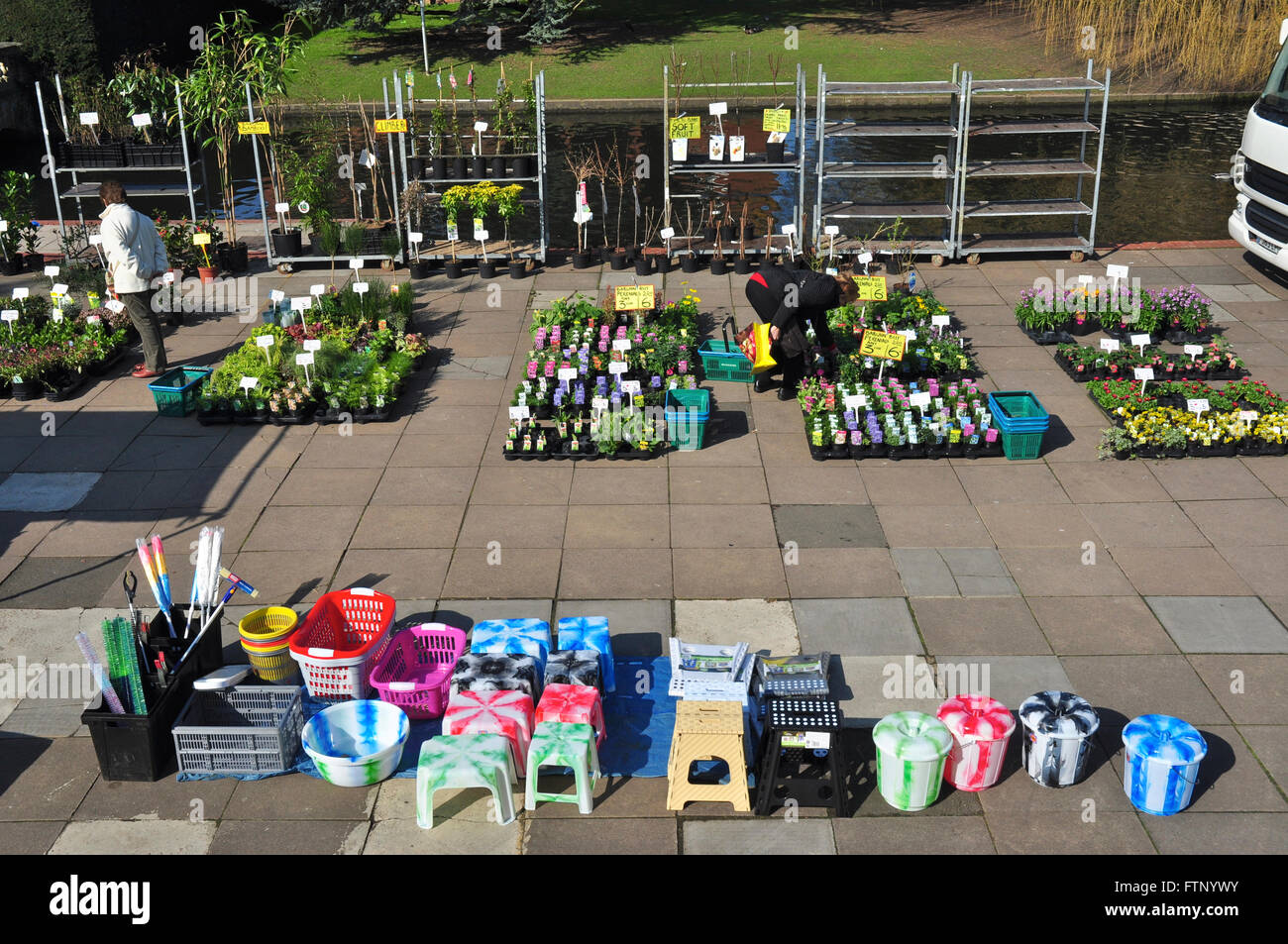 Bunten Pflanzen und Haushaltsgegenstände auf dem Markt, Hitchin, Hertfordshire, England, UK Stockfoto