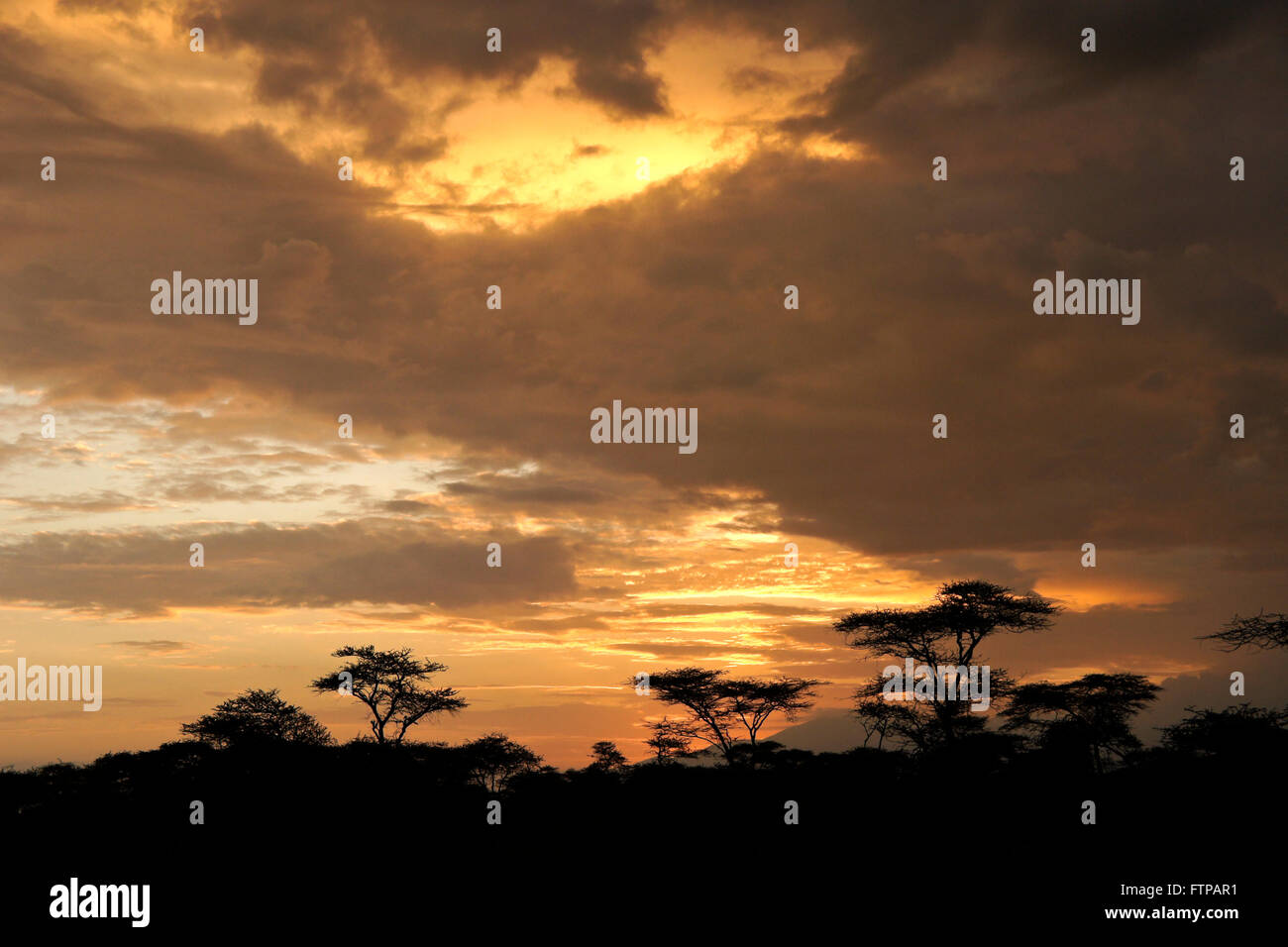 Sunrise unter stürmischen Himmel, Ngorongoro Conservation Area, Tansania Stockfoto