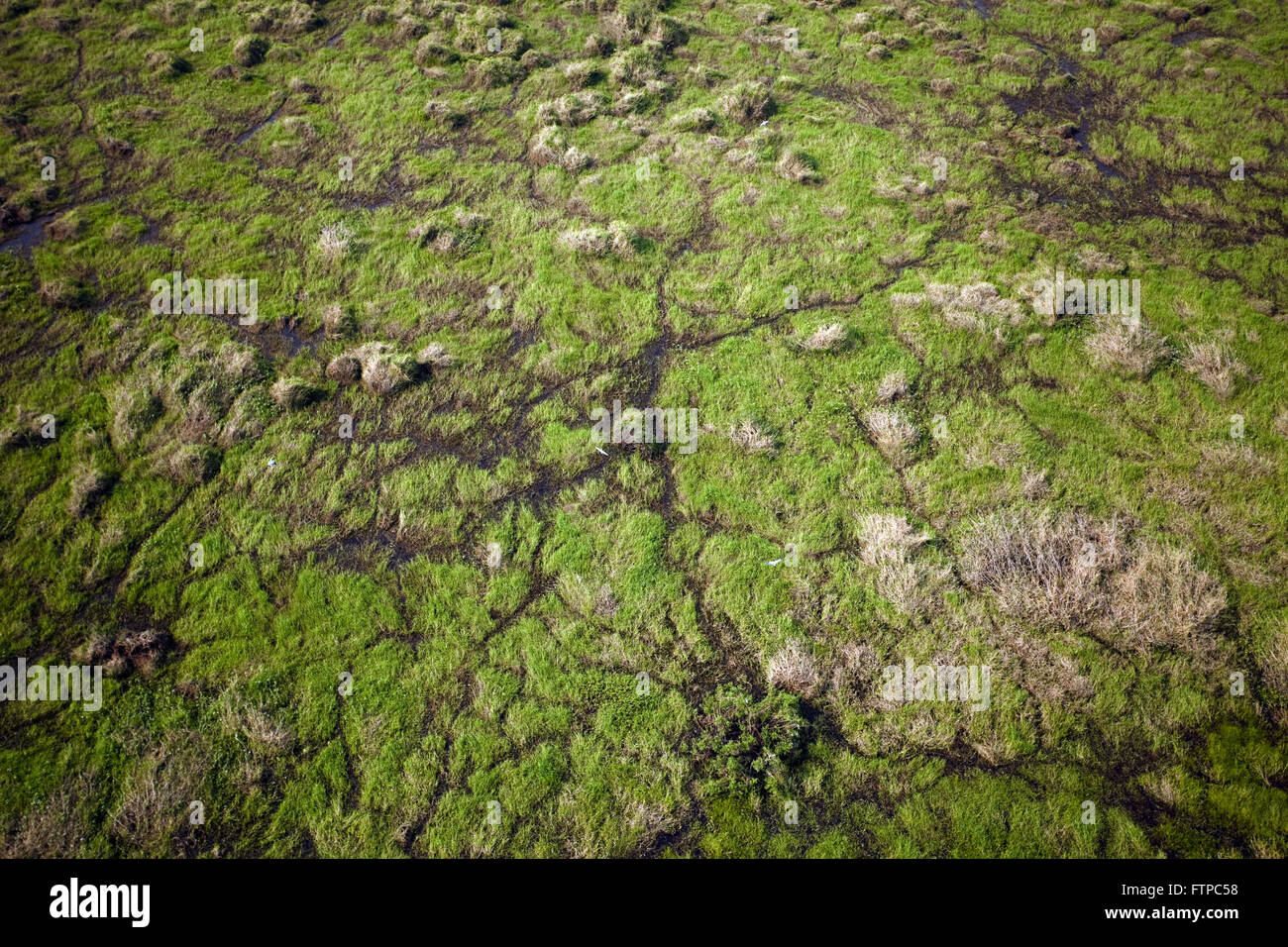Luftaufnahme des Pantanal-Region des Flusses Paraguay in der Nähe der Stadt Corumba - MS Stockfoto