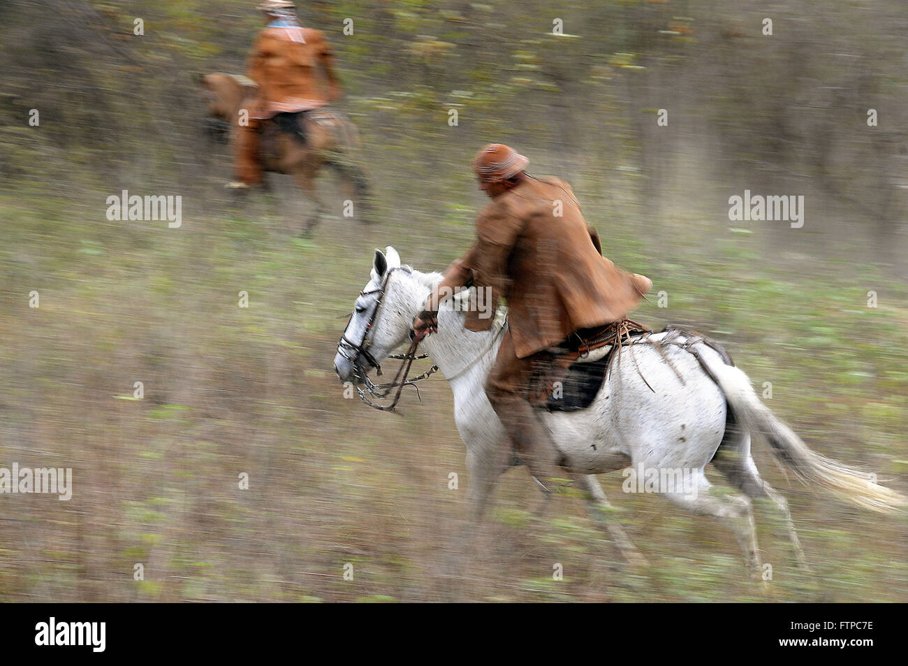 Cowboys beobachten Elster Ox - ist Teil der Veranstaltungen der Heiligabend Masse Stockfoto