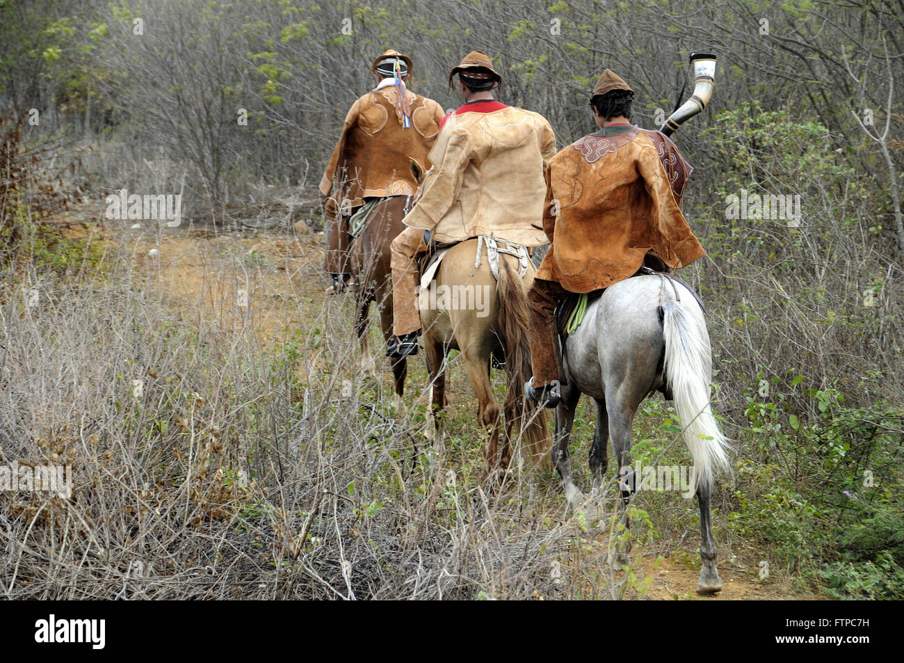Cowboys beobachten Elster Ox - ist Teil der Veranstaltungen der Heiligabend Masse Stockfoto