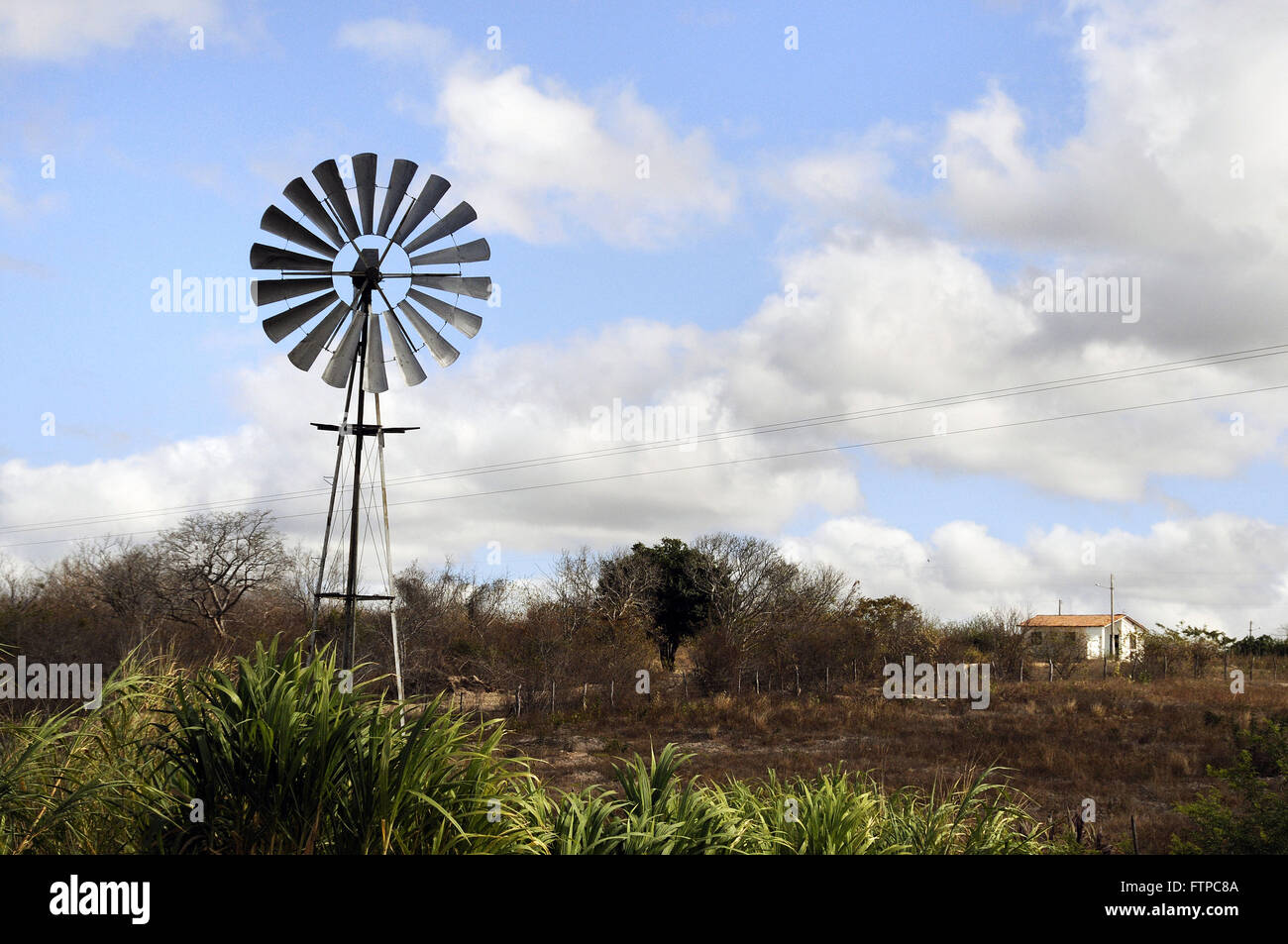 Vane in ländliche Gemeinde im Hinterland von Pernambuco Stockfoto