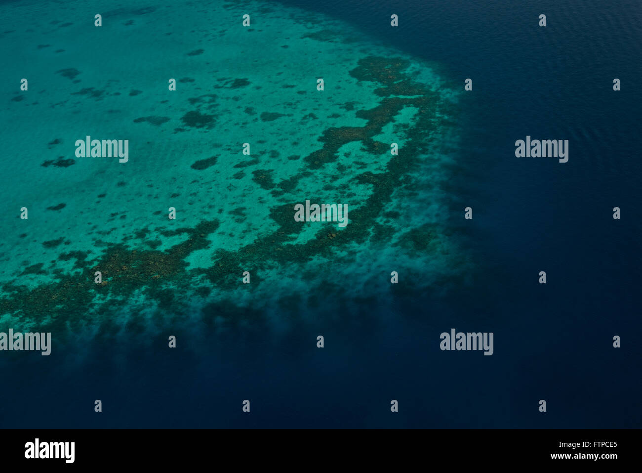 Korallenriffe, Malediven Stockfoto