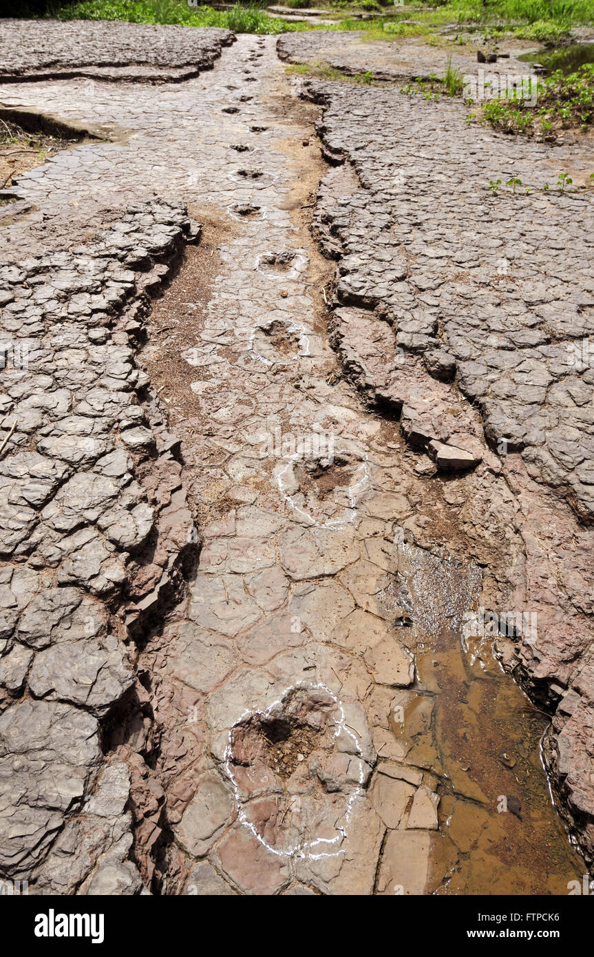 Dinosaurier-Fußspuren im Tal der Dinosaurier Stockfoto