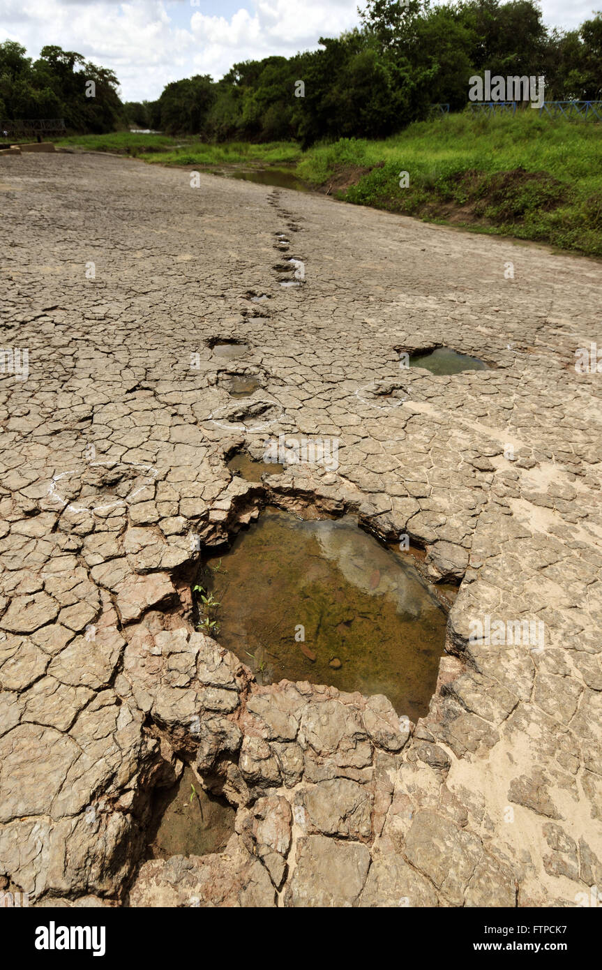 Dinosaurier-Fußspuren im Tal der Dinosaurier Stockfoto