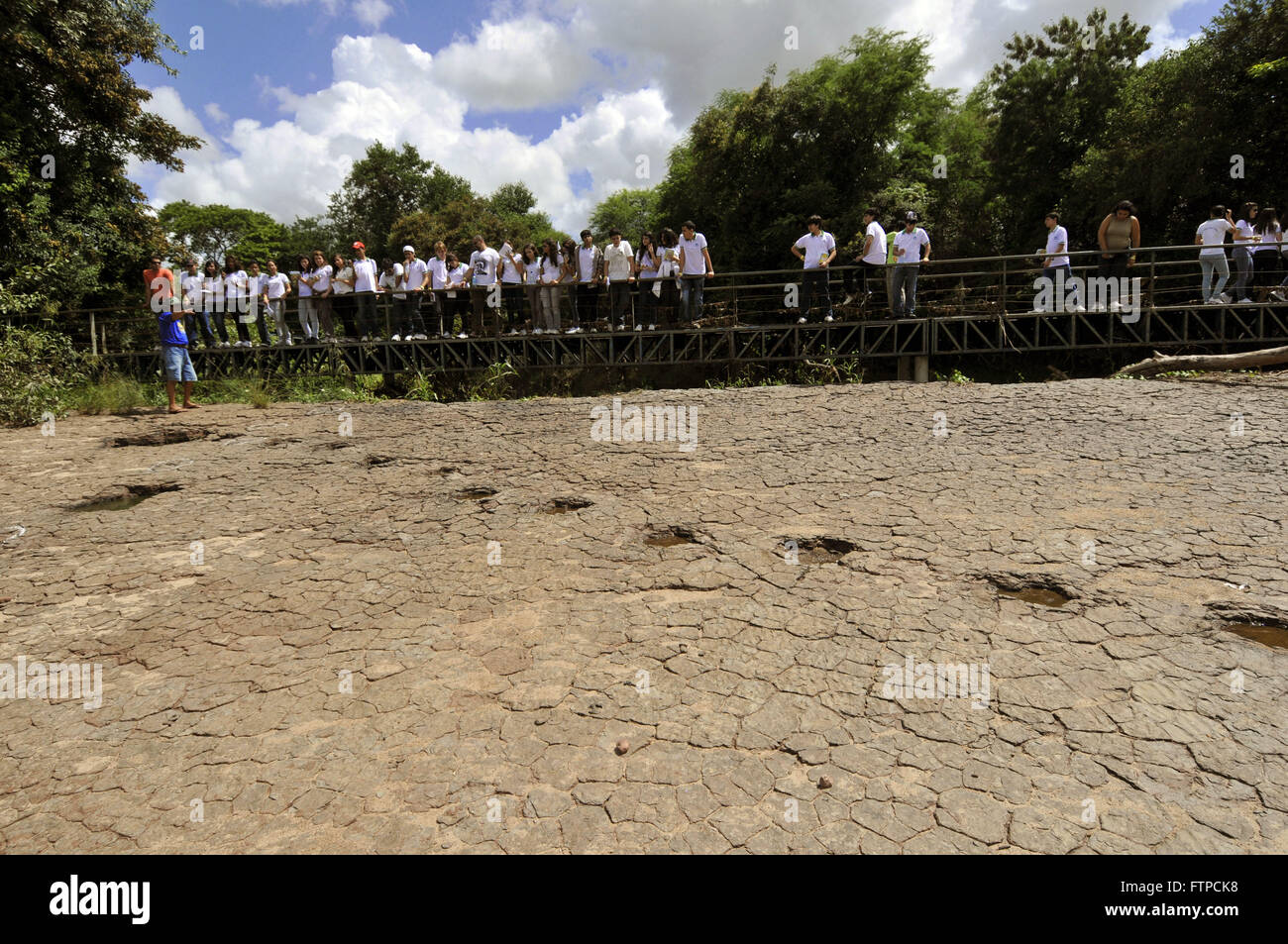 Dinosaurier-Fußspuren im Tal der Dinosaurier Stockfoto