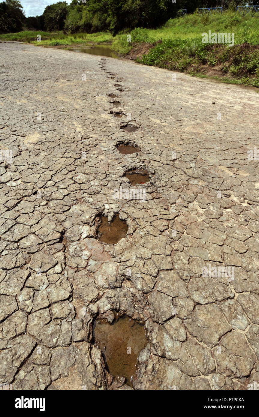 Dinosaurier-Fußspuren im Tal der Dinosaurier Stockfoto