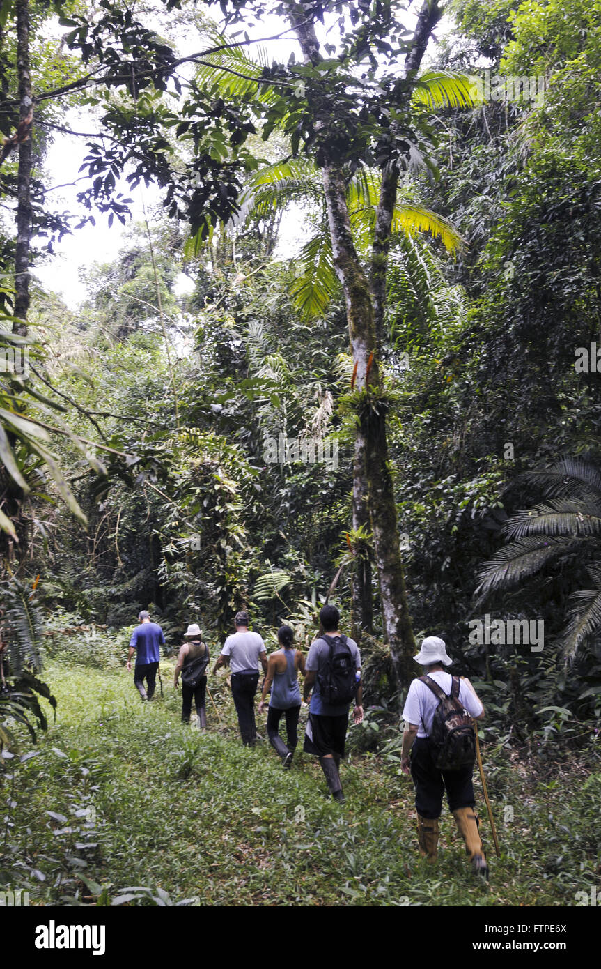 Ökotouristen auf dem richtigen Weg in der natürlichen Reserve Park durchdringenden am oberen Rand der Paranapiacaba Stockfoto
