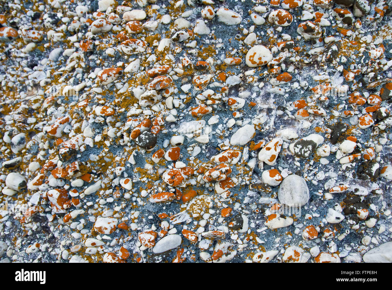 Textur von Felsen und Flechten auf Felsen Stockfoto