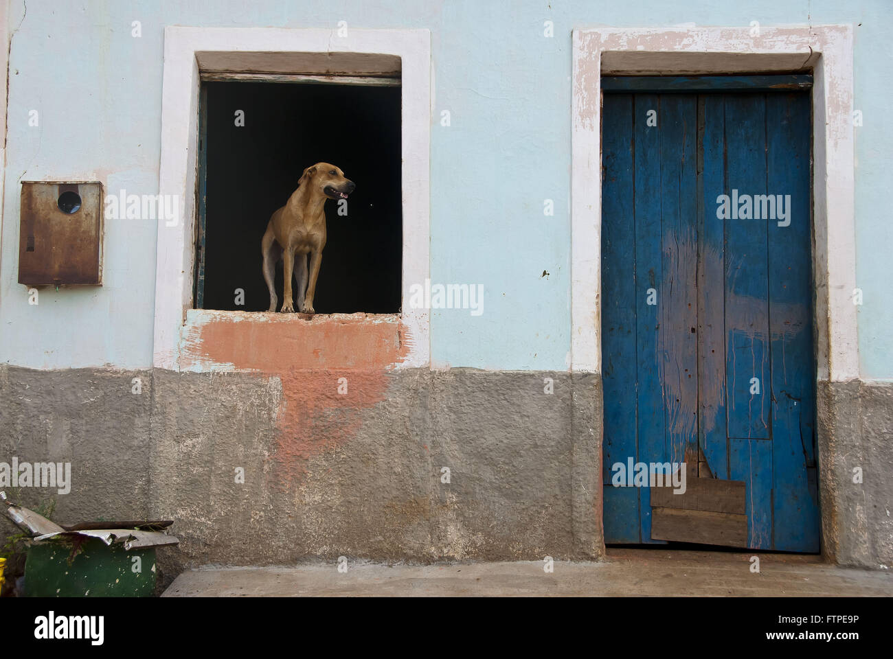 Einfache Behausung und Hund in der Stadt von Coronel Jose Dias-Fenster Stockfoto