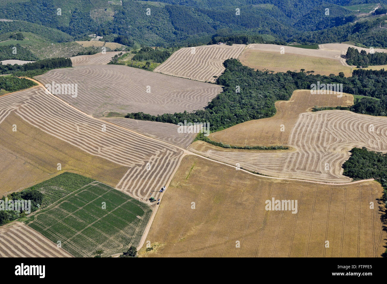 Luftaufnahme der Plantage von Sojabohnen geerntet in Gebieten mit ländliches Anwesen Stockfoto