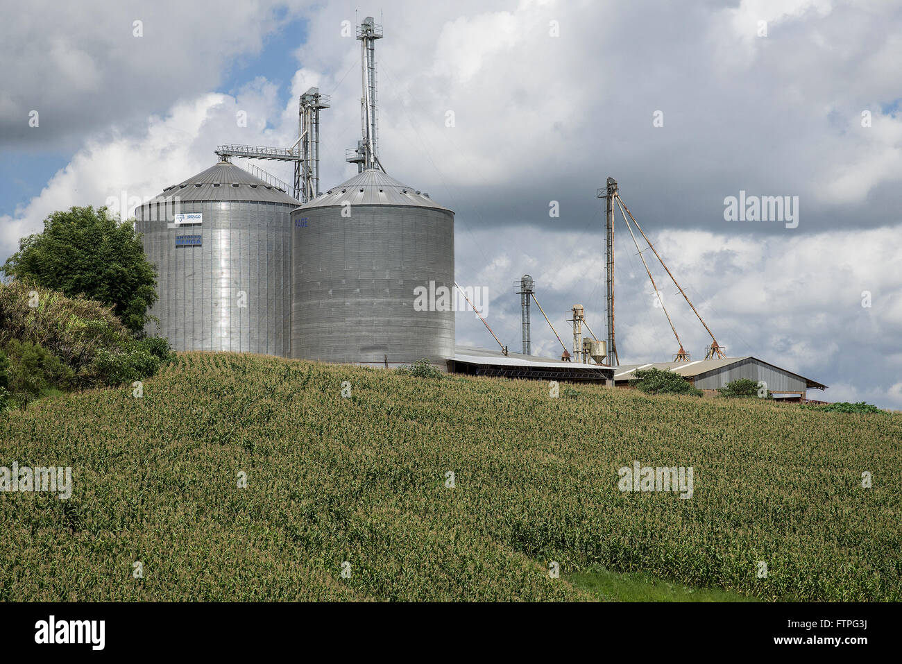 Lokale Speicherung von Korn in Mais-Plantage im ländlichen Raum Stockfoto