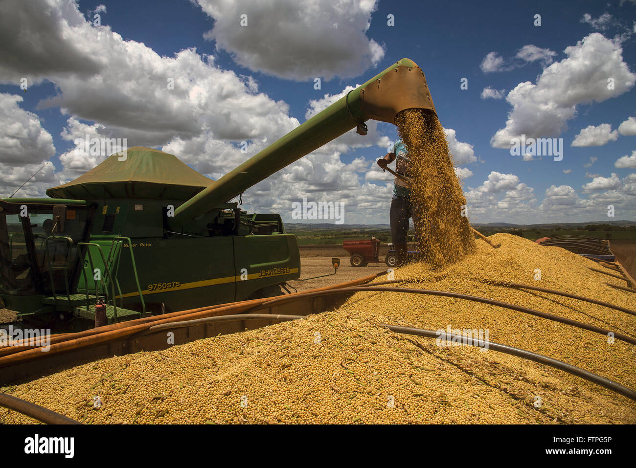 Kombinieren Sie Beladung LKW mit neu geernteten Getreide Soja Anpflanzen im Bereich Stockfoto