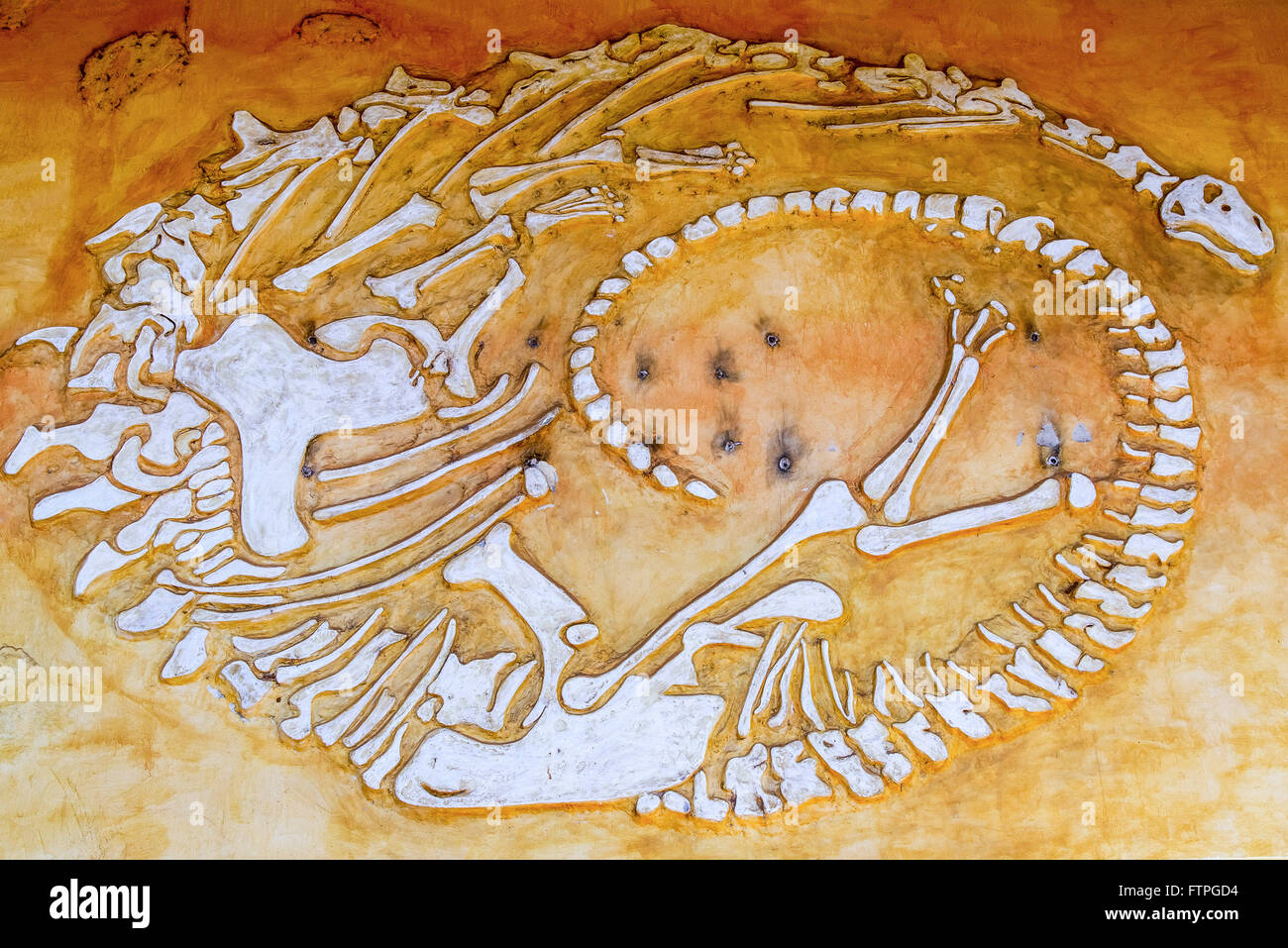Darstellung der Knochen in Dinosaur Museum und Forschungszentrum paläontologischen Stockfoto
