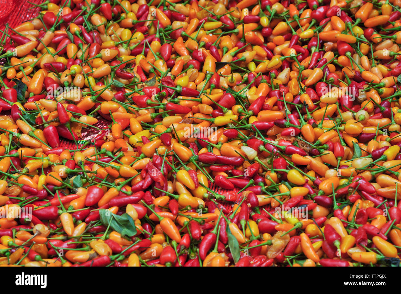 Paprika in Natura Verkauf an City Market - Altstadt Stockfoto