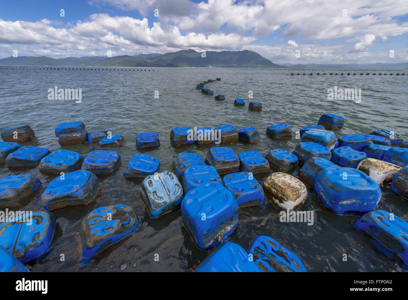 Bojen für marine Bauernhof - Anbau von Austern und Muscheln - Stadt Nachbarschaft von Ribeirao Stockfoto